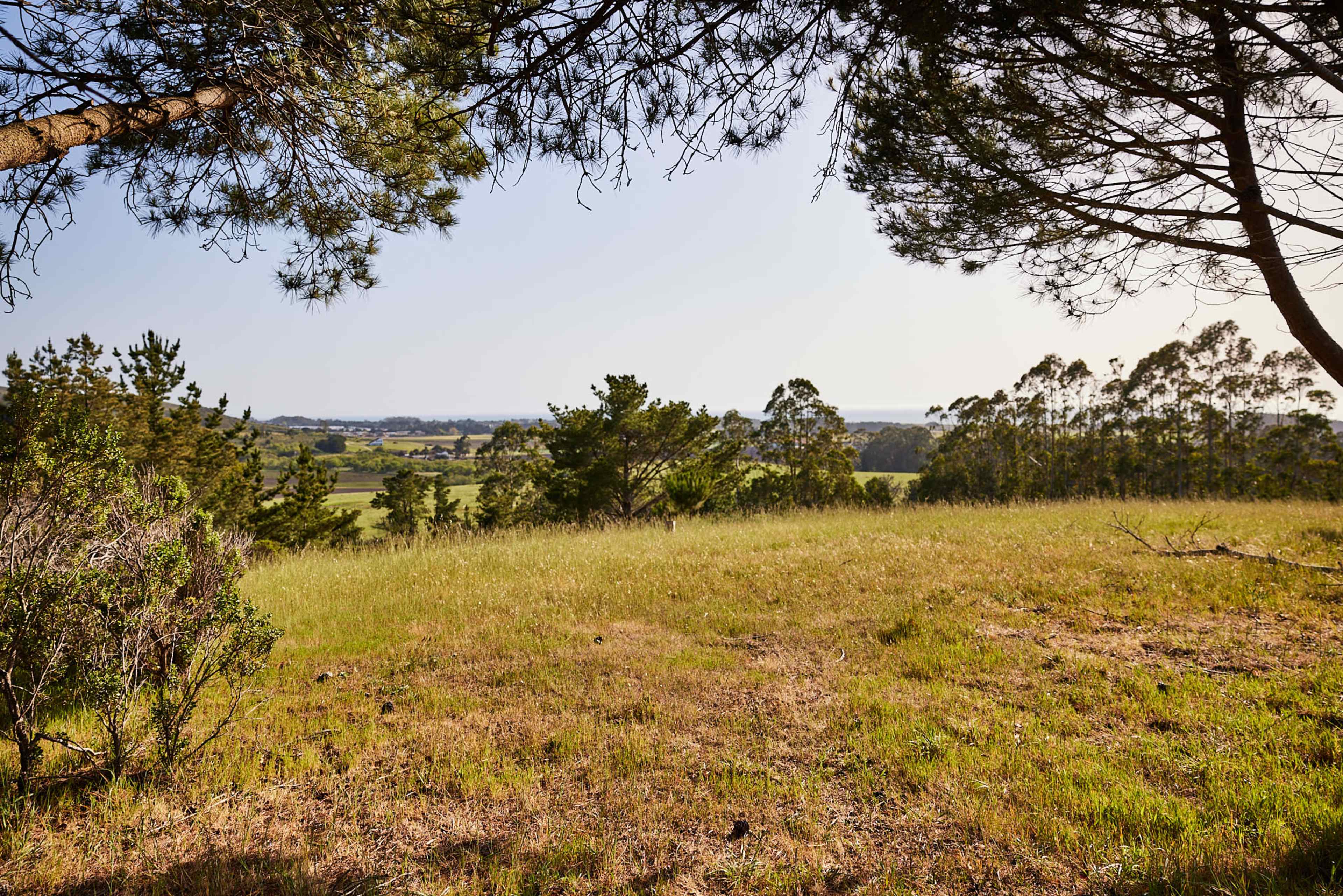 A grassy hillside framed by trees, overlooking a rural landscape with fields and distant mountains under a clear sky.