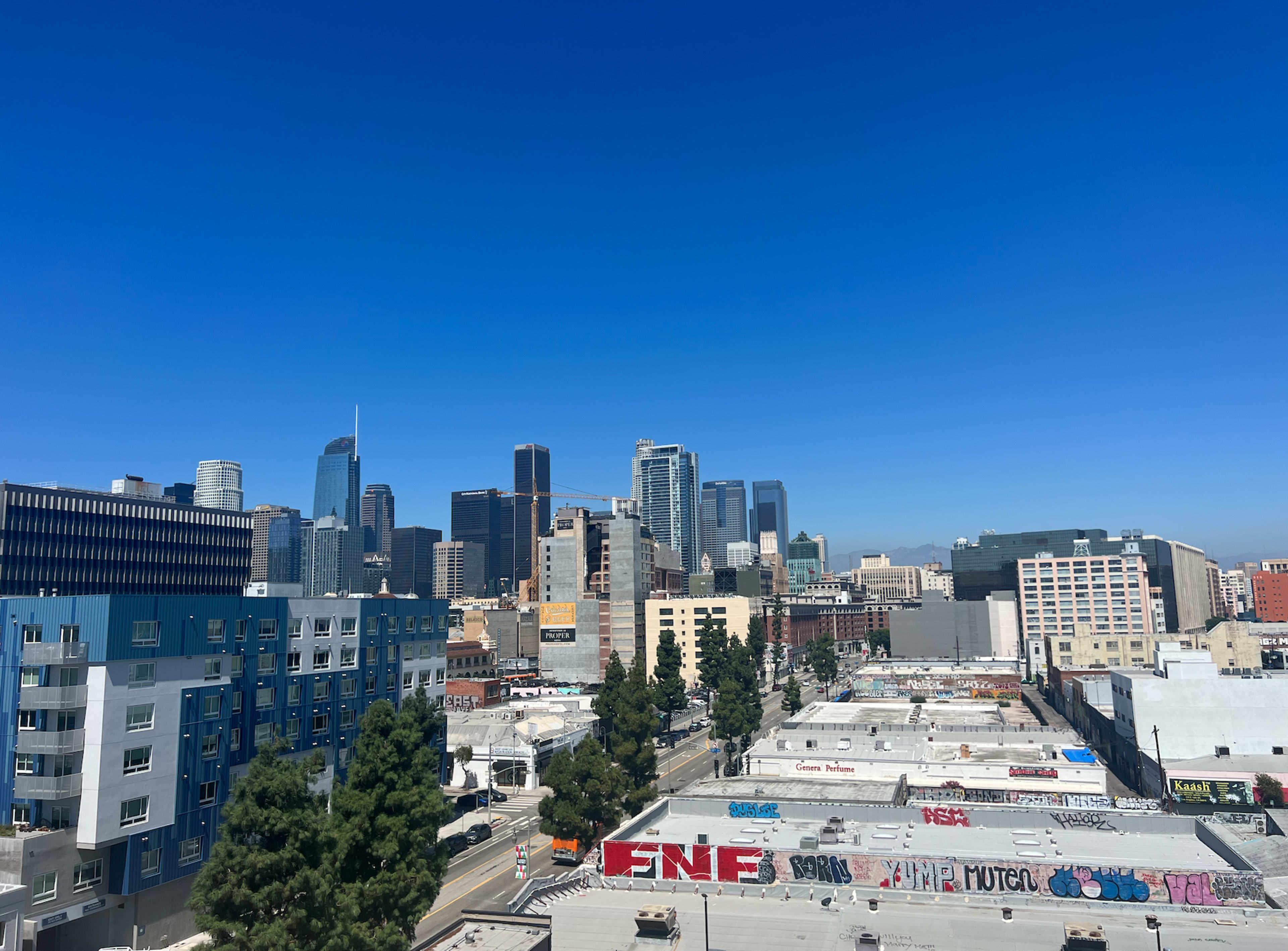 A clear view of a city skyline featuring tall buildings, with commercial rooftops and graffiti visible in the foreground.