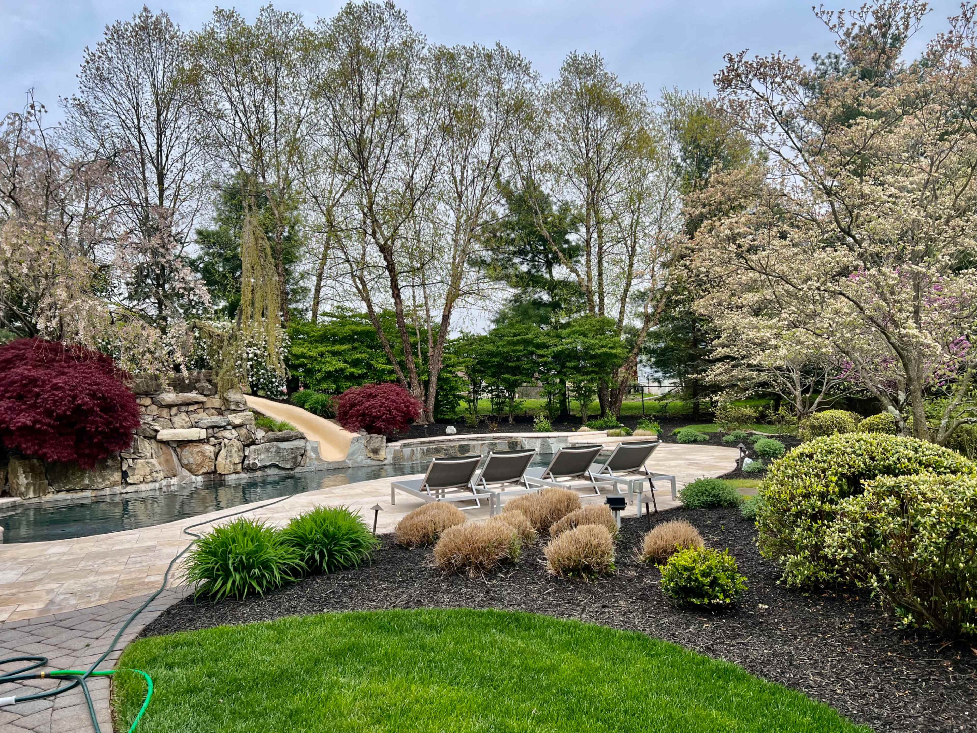 A landscaped backyard featuring a swimming pool, lounge chairs, and a variety of trees and shrubs.