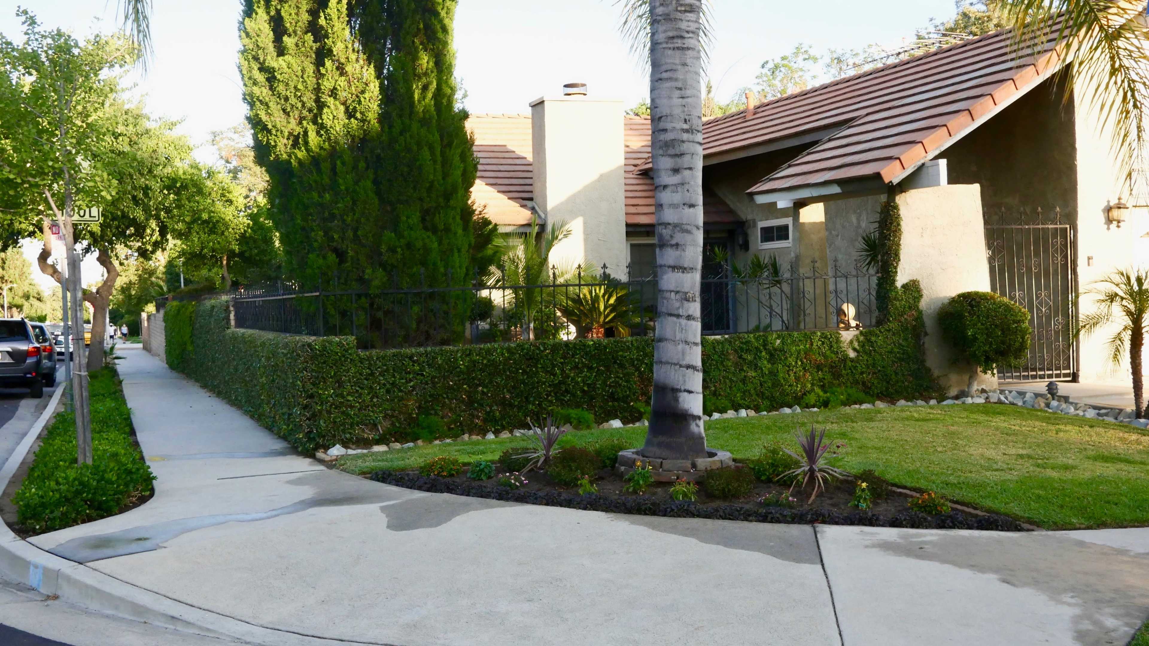 A residential street with a landscaped yard, a palm tree, and a walkway curving around a hedge.