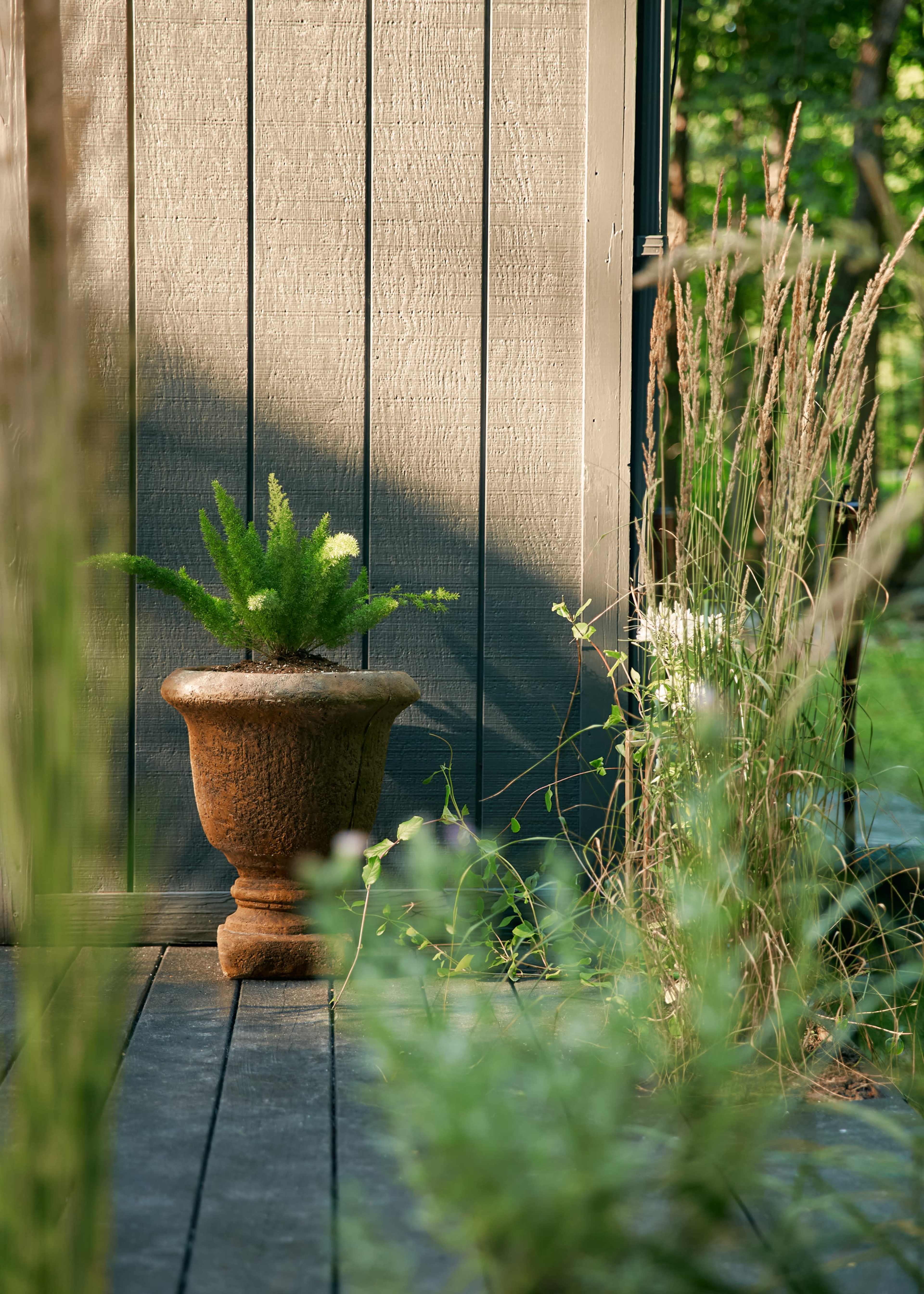 A decorative urn with a fern sits on a wooden deck near tall grasses and plants against a backdrop of a gray wall.