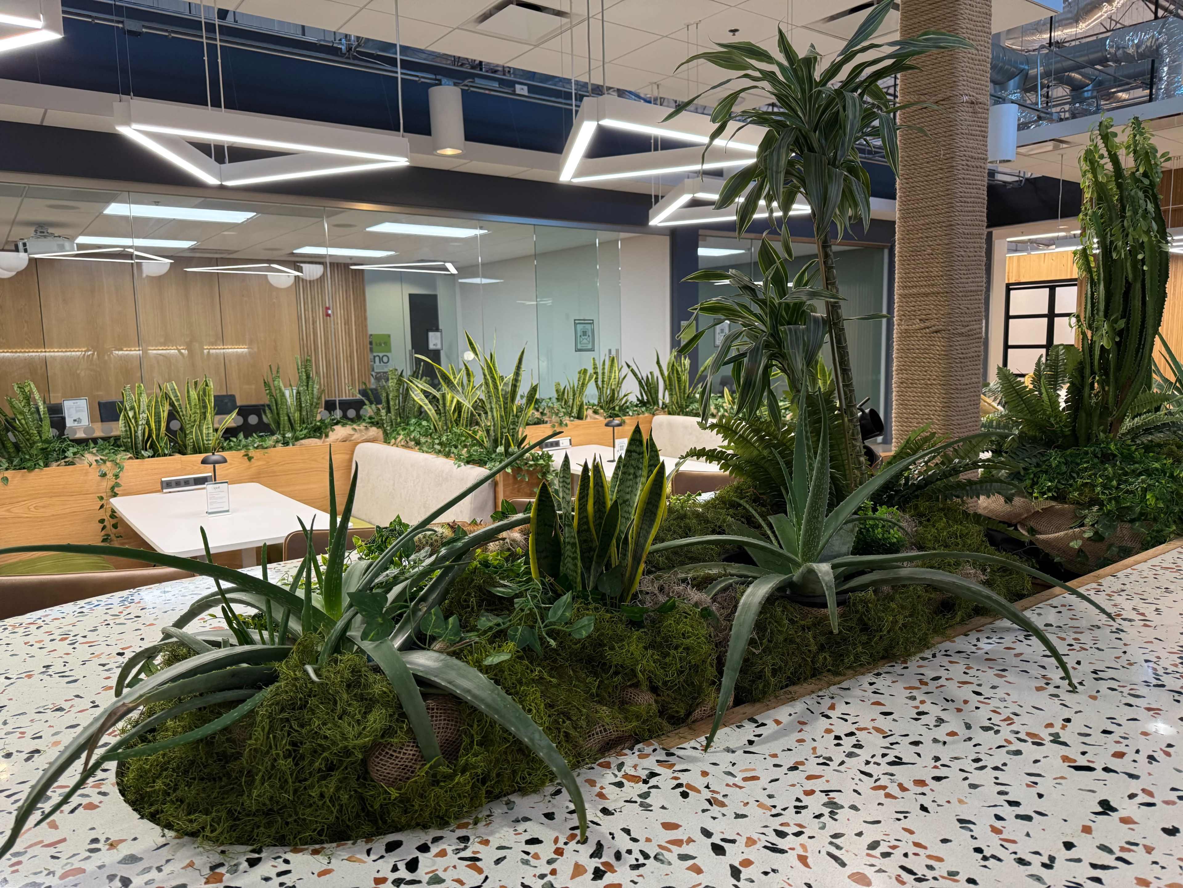 Flexible Classroom & Training Space for up to 70 with Projector & Whiteboards, 10 Minutes from Phoenix Airport Image in South Mountain Village, Phoenix, AZ