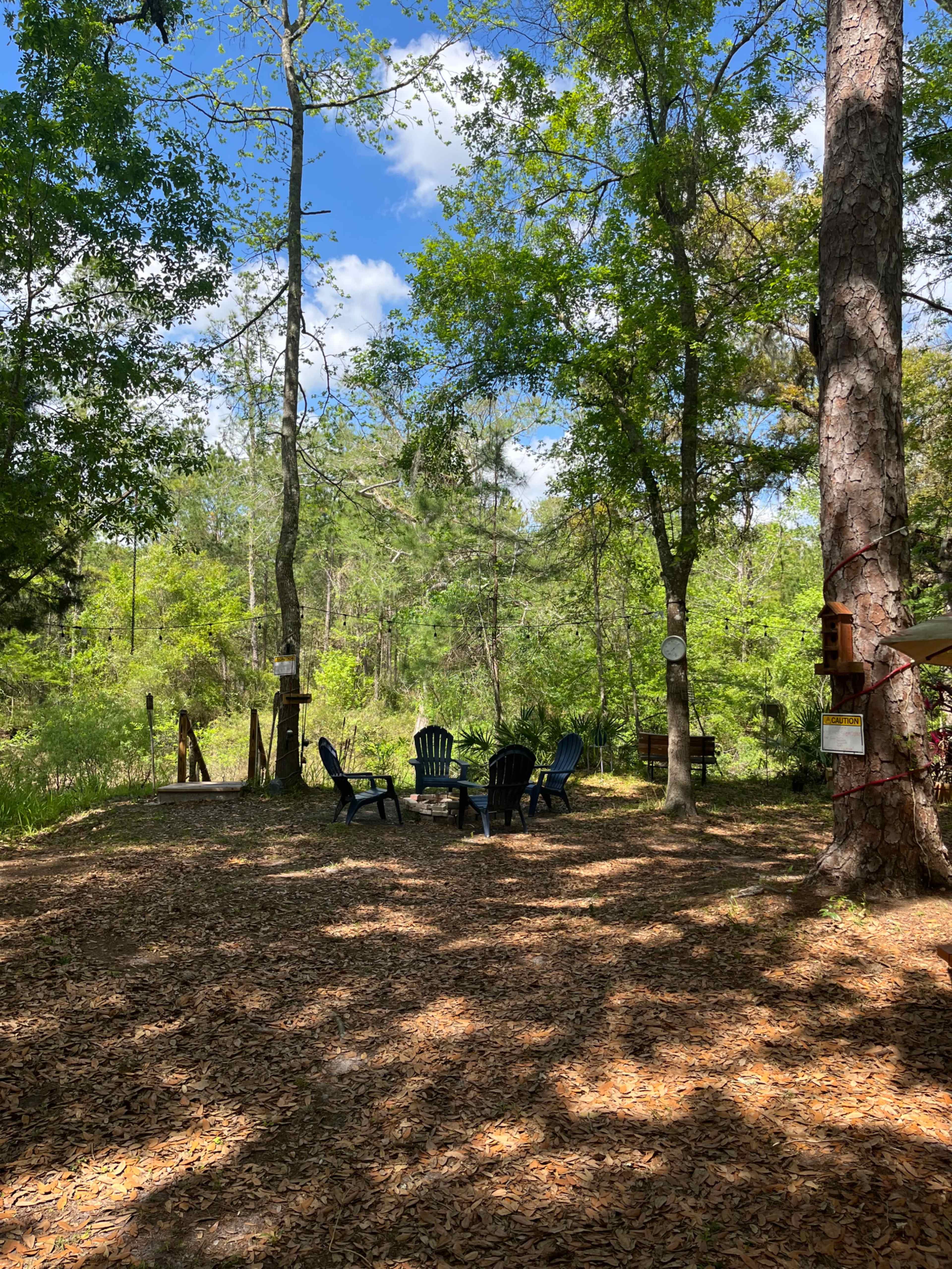 The image shows a shaded outdoor area with several Adirondack chairs arranged around a fire pit amidst a forested setting.