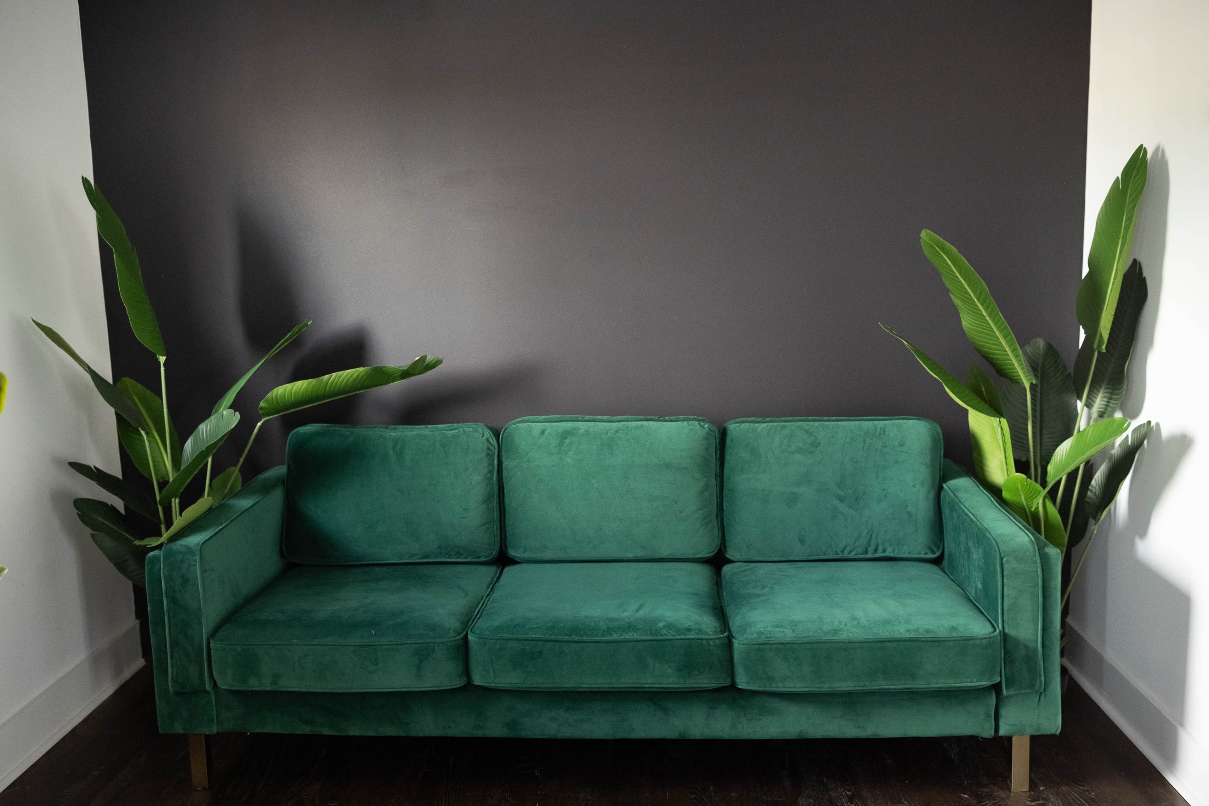 A green velvet sofa sits against a dark wall, flanked by tall, leafy plants.