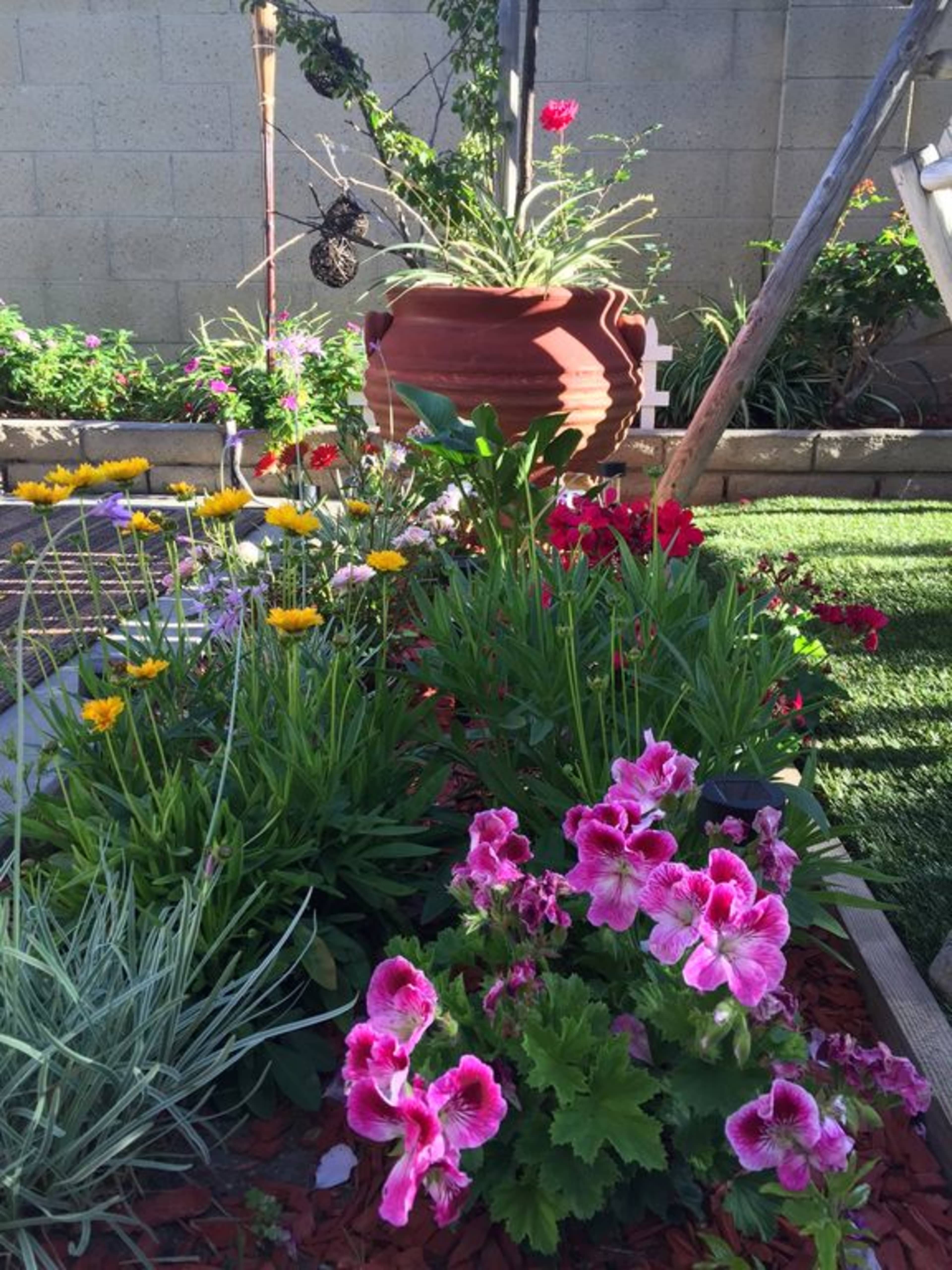 A colorful garden filled with various flowers, including pink geraniums and yellow daisies, alongside a large terracotta pot.
