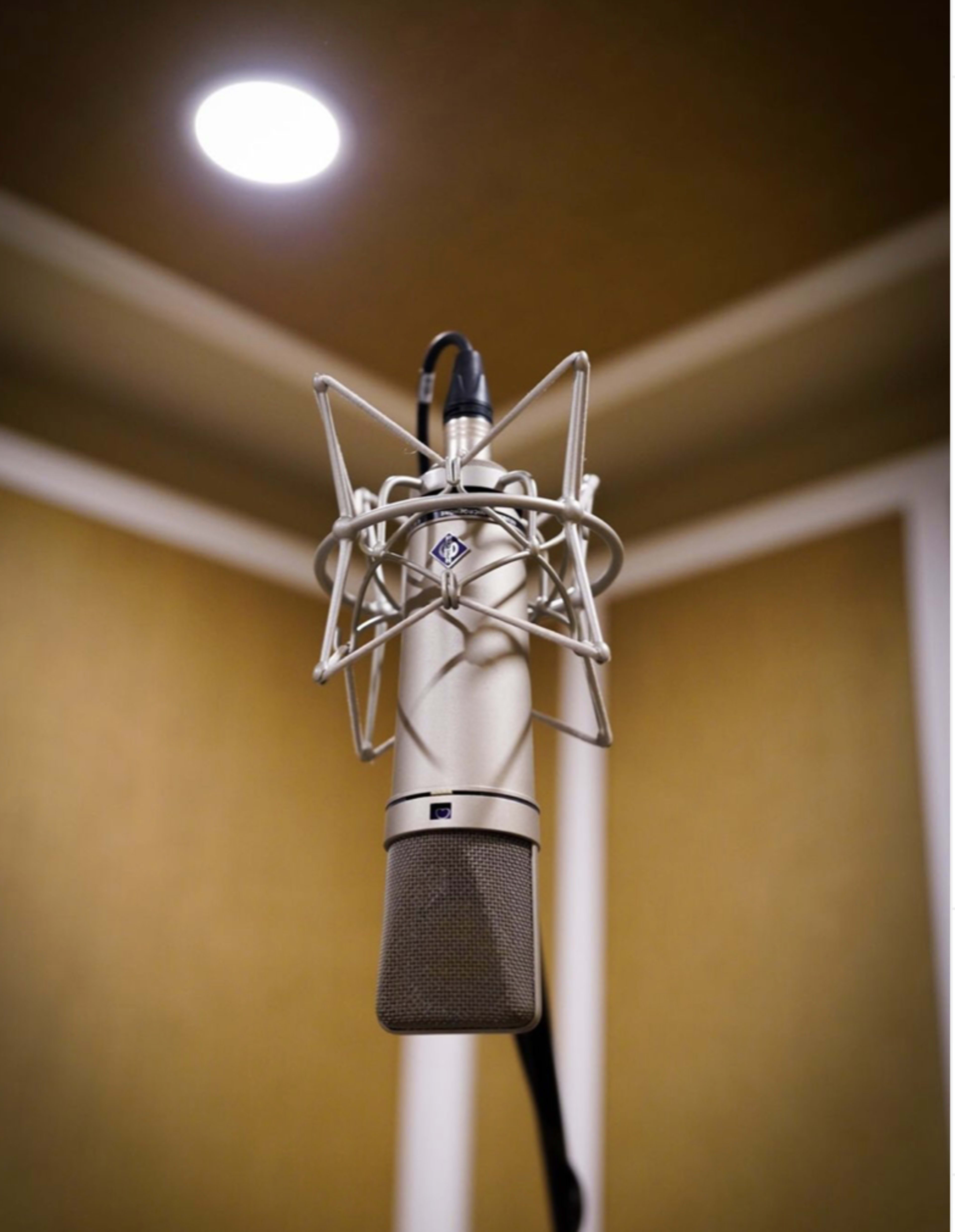A microphone is mounted on a stand in a soundproof recording studio with a soft overhead light.