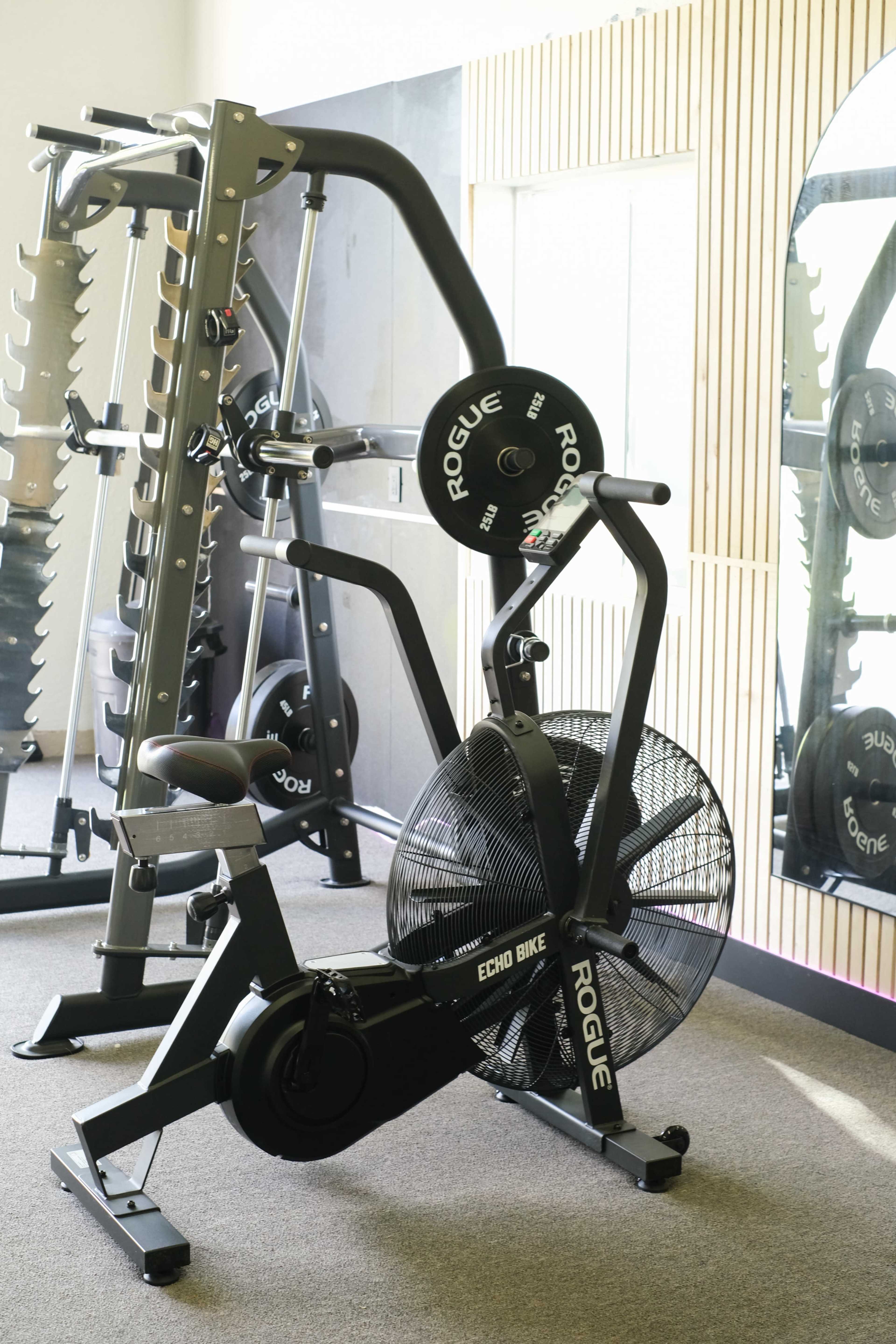 The image shows a stationary exercise bike, labeled "ECHO BIKE," alongside a weight rack in a fitness space with wooden paneling and a mirror.