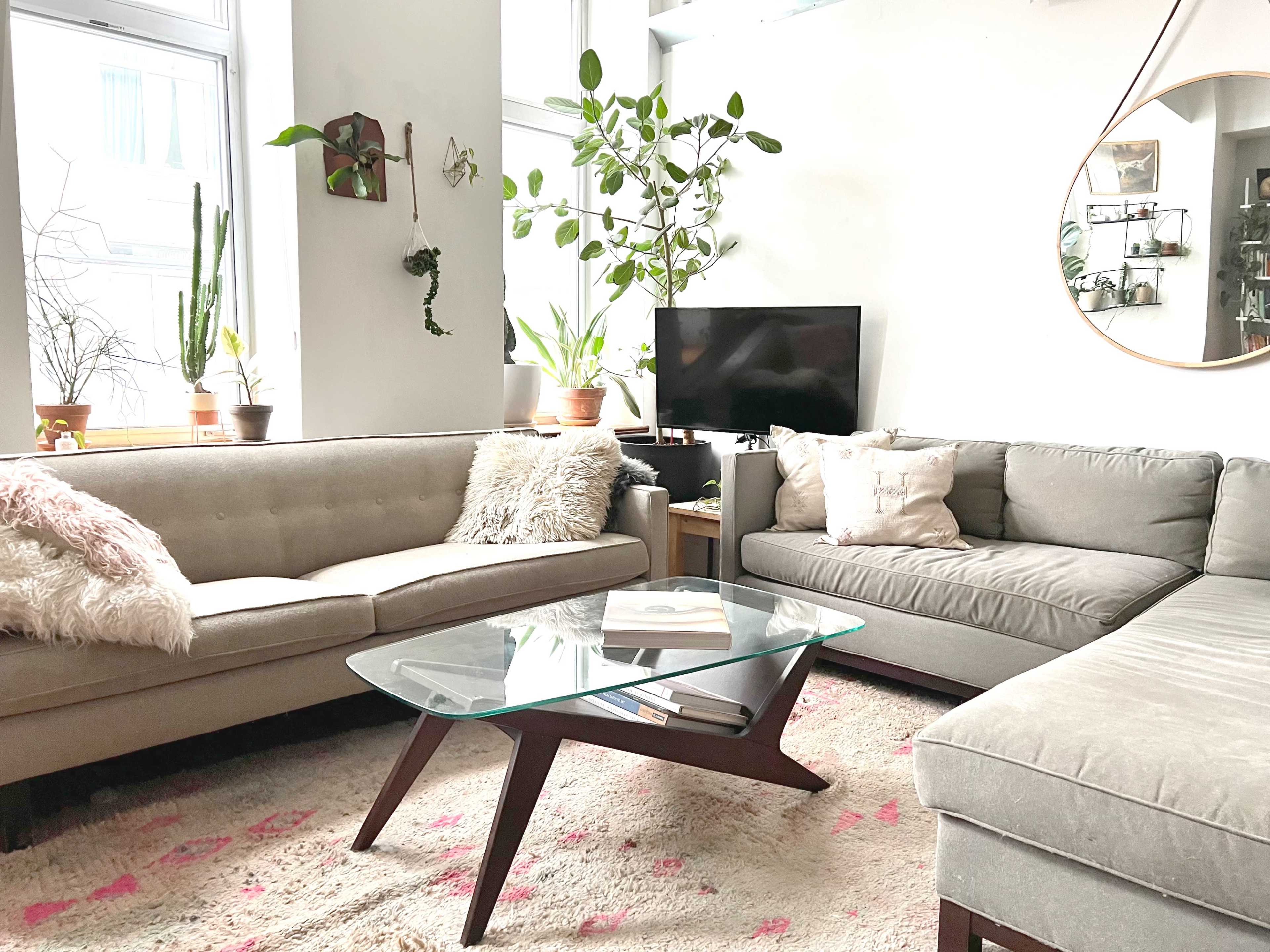 A modern living room features two sofas, a glass coffee table, a television, and several potted plants.