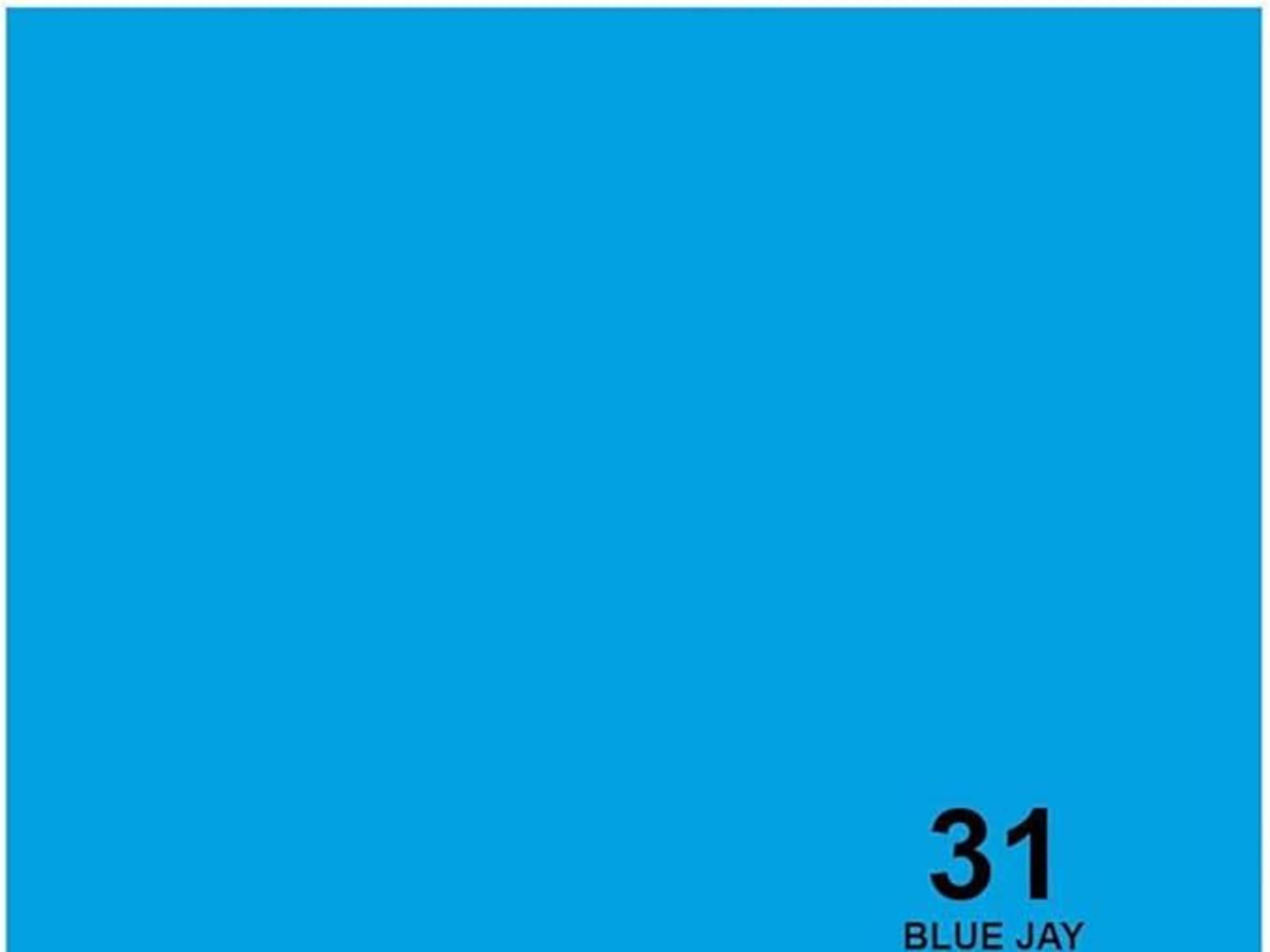 Backdrop Paper Blue Jay