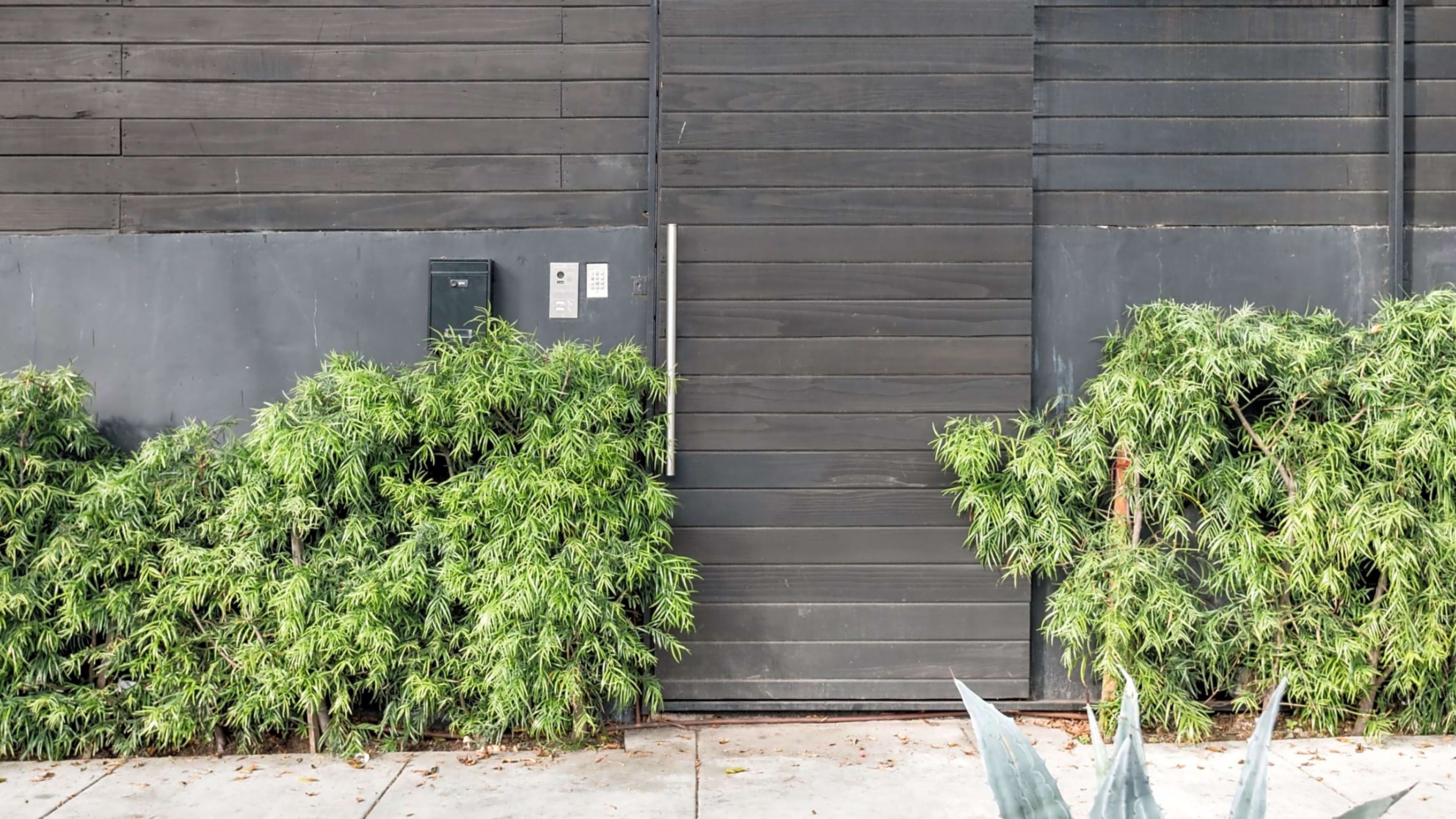 A wooden door is framed by greenery on both sides, with a mailbox mounted nearby on a dark wall.