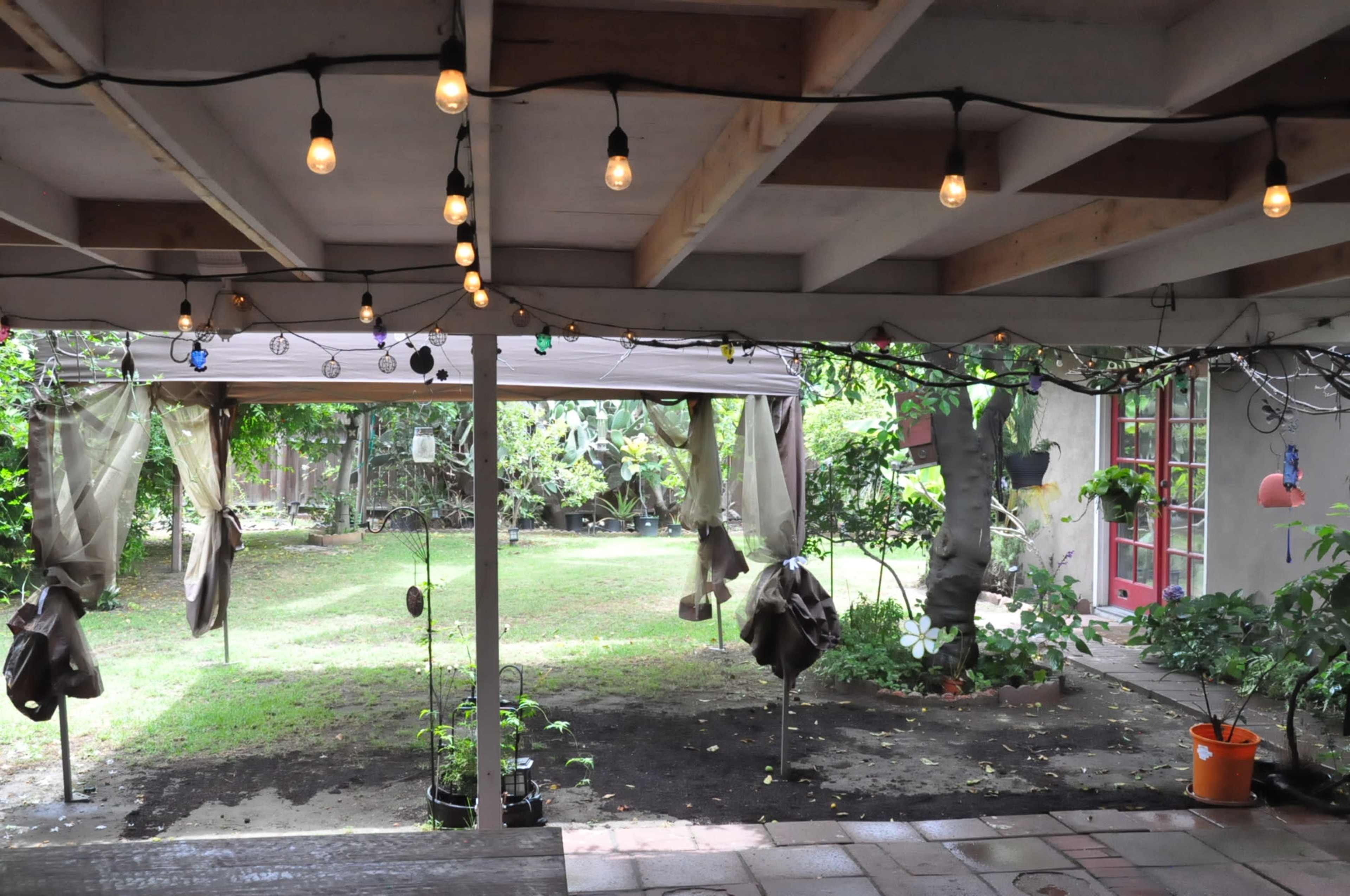 The scene depicts a backyard with string lights overhead, hanging fabric, and a grassy area surrounded by plants and trees.