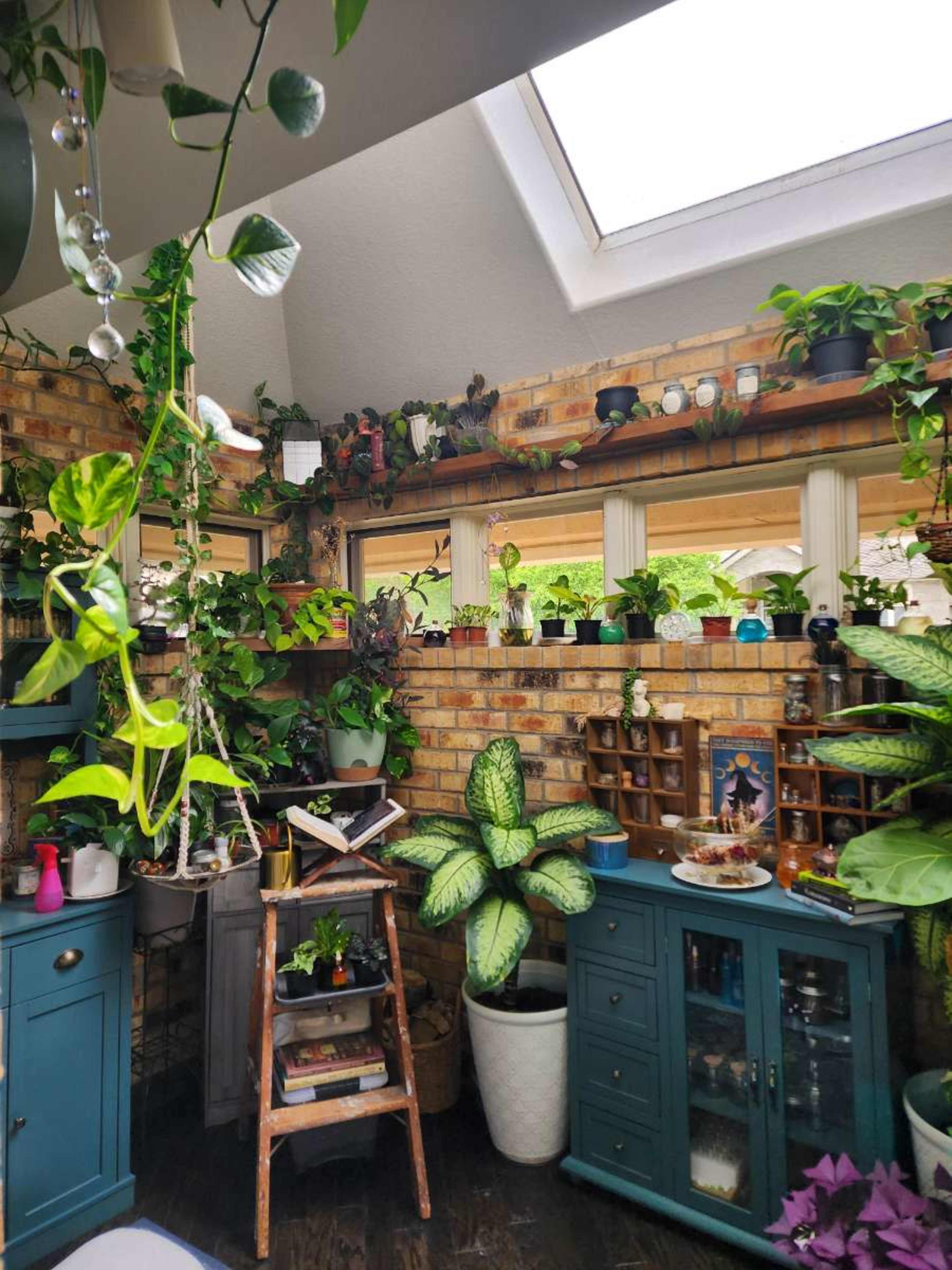 Bright Botanical Sunroom with Skylight + Lush Plant Wall Image in Centennial, Centennial, CO