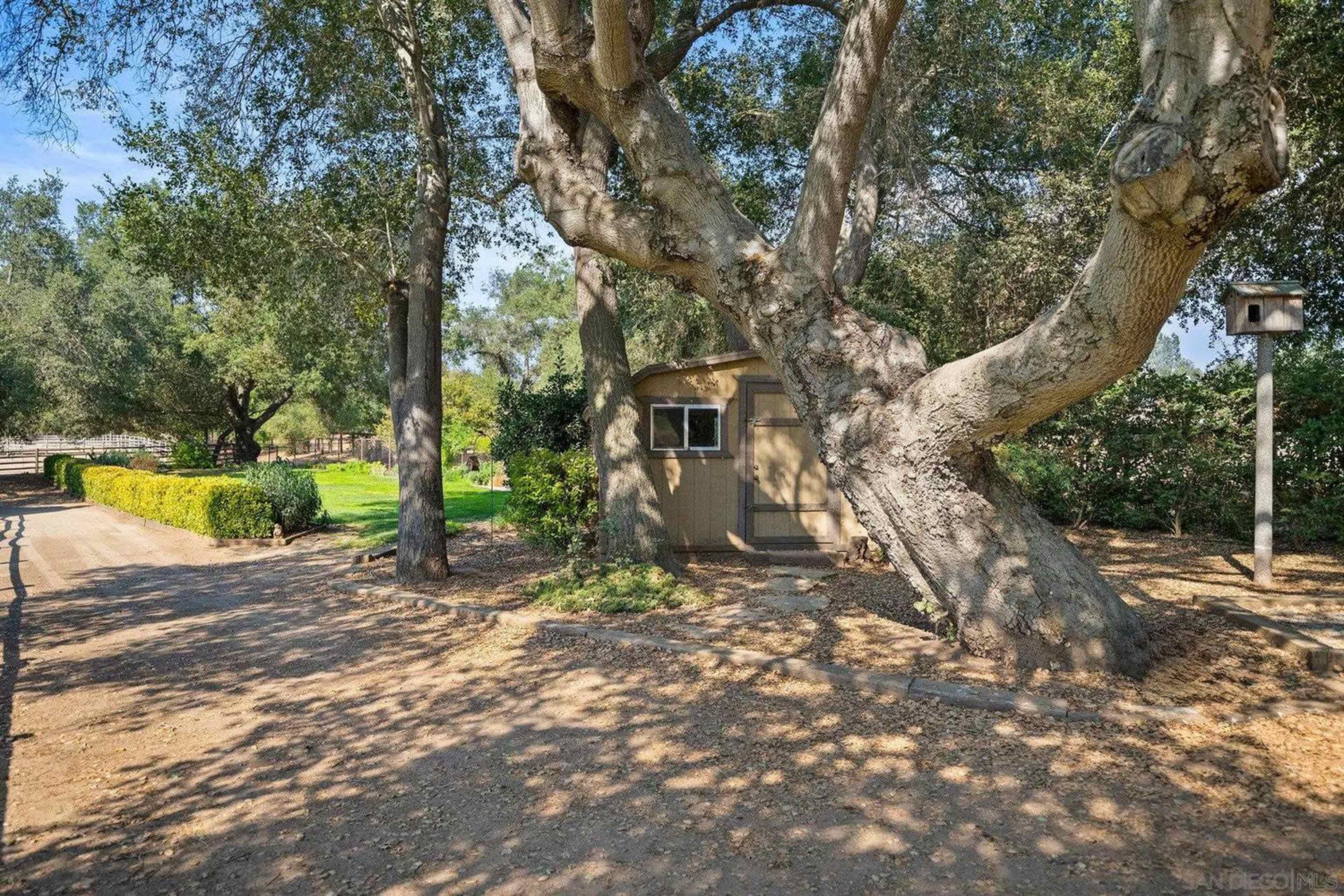 Stunning Horse Farm with Ancient Oak Trees Image in Valley Center, Valley Center, CA