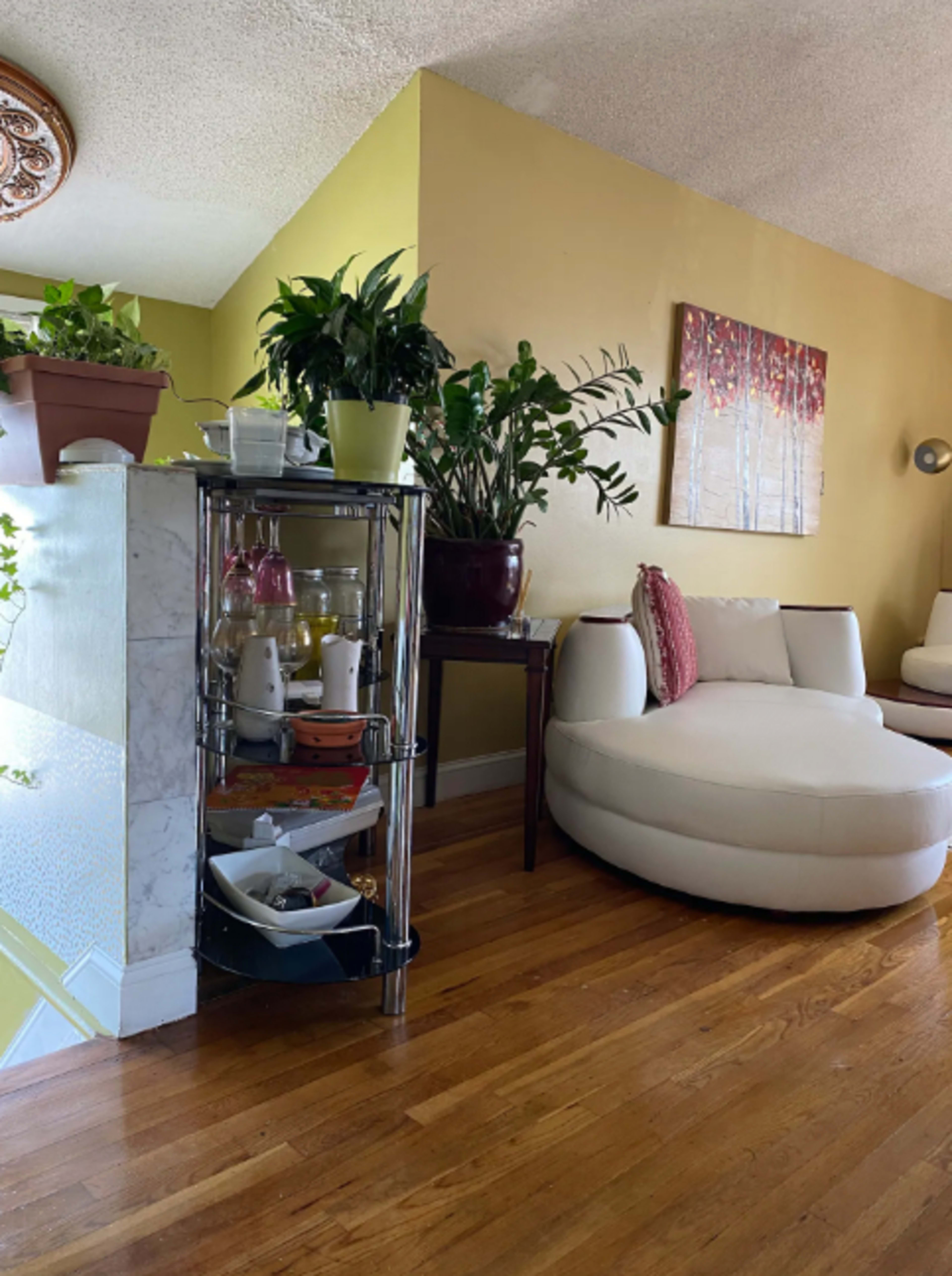 A cozy living room with a white curved sofa, a plant-filled shelf, and a wall adorned with a painting.
