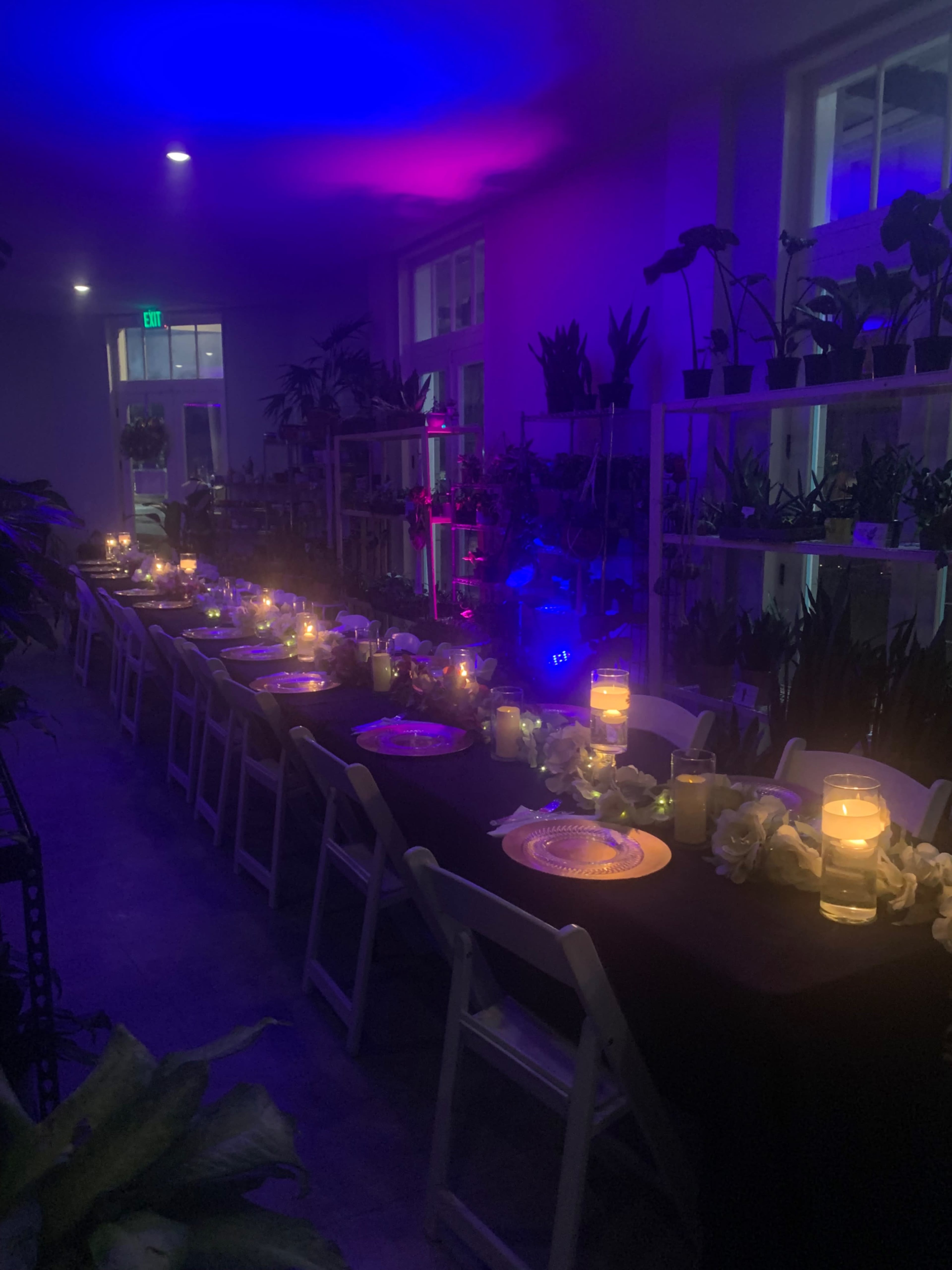 A long table set for dinner, illuminated by candles, surrounded by indoor plants and a purple ambient light.