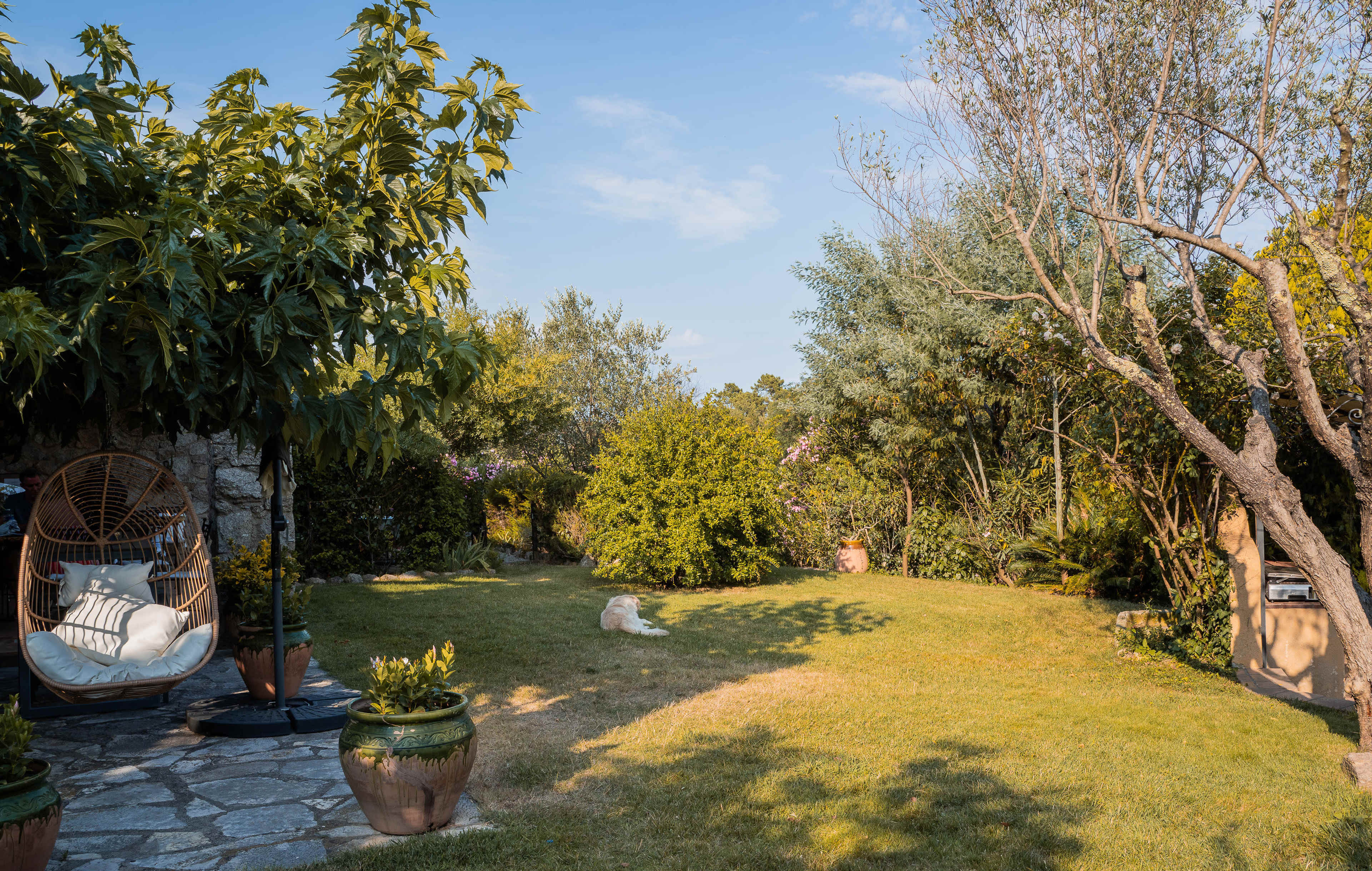 The image depicts a landscaped garden with a hanging chair, greenery, and a peaceful lawn under a clear sky.