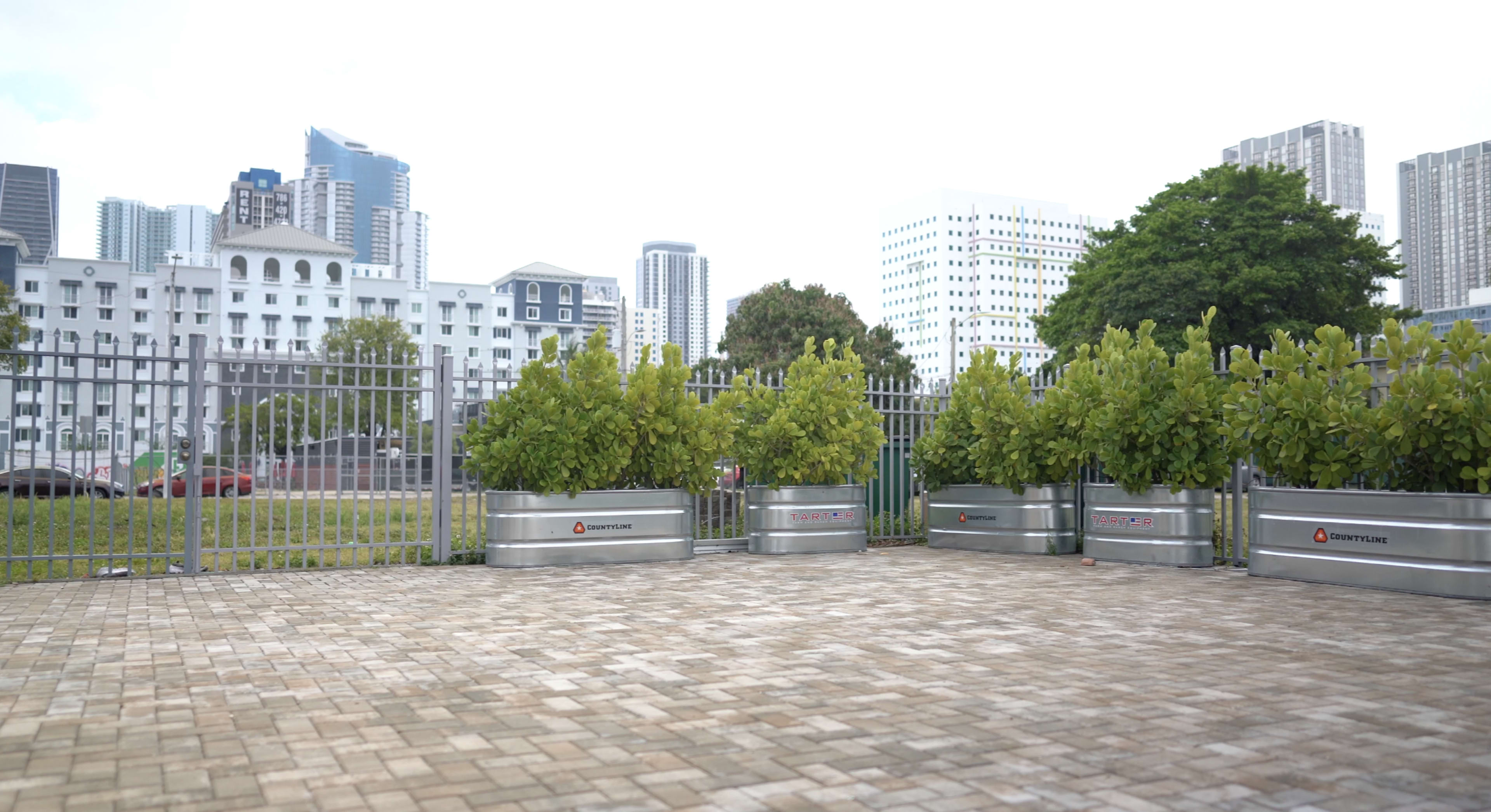 A fenced area with several large planters filled with greenery, set against a backdrop of urban buildings and a cloudy sky.