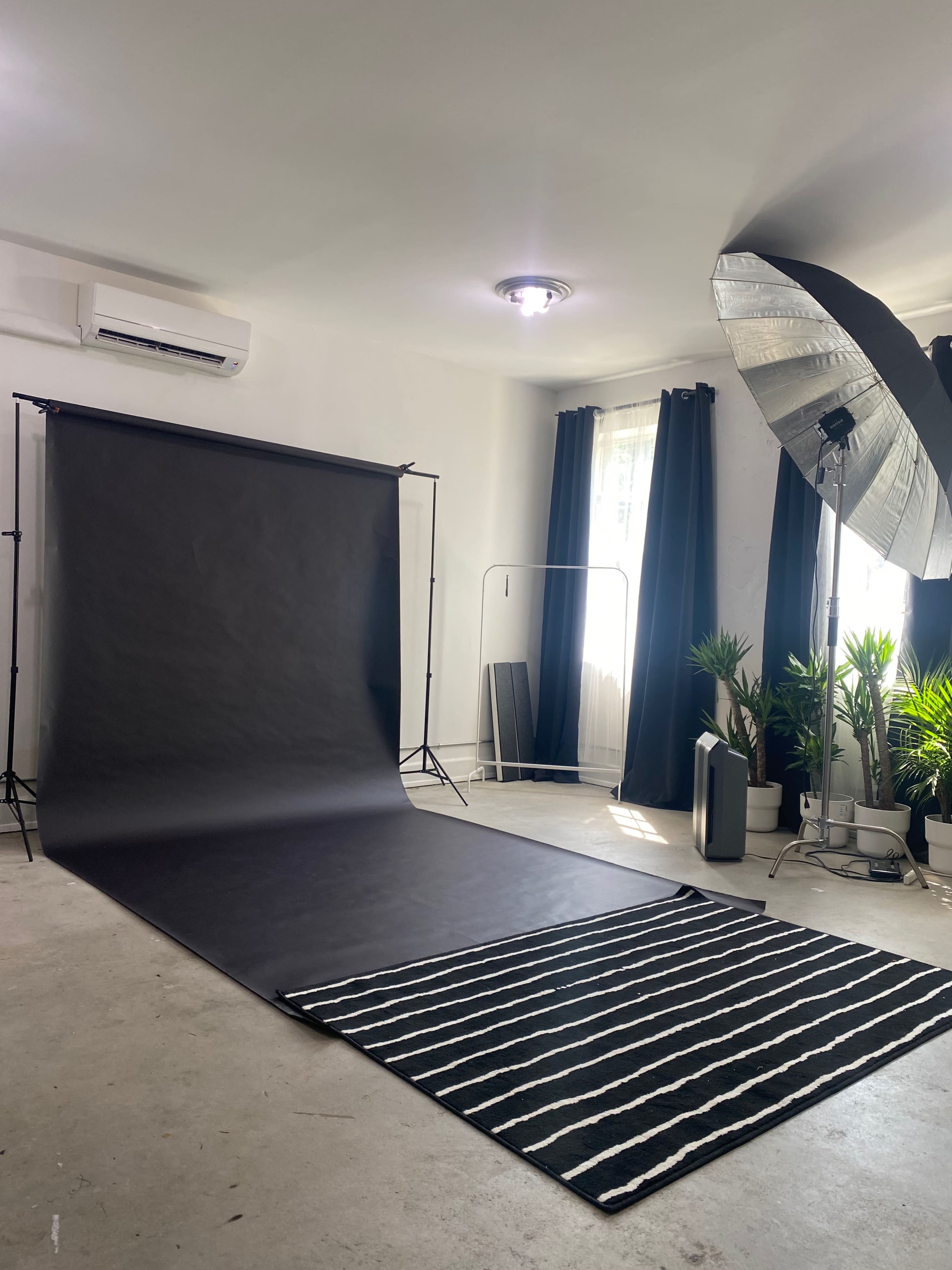 A photography studio features a black backdrop, reflector, and striped rug on a concrete floor, accompanied by potted plants and large windows.