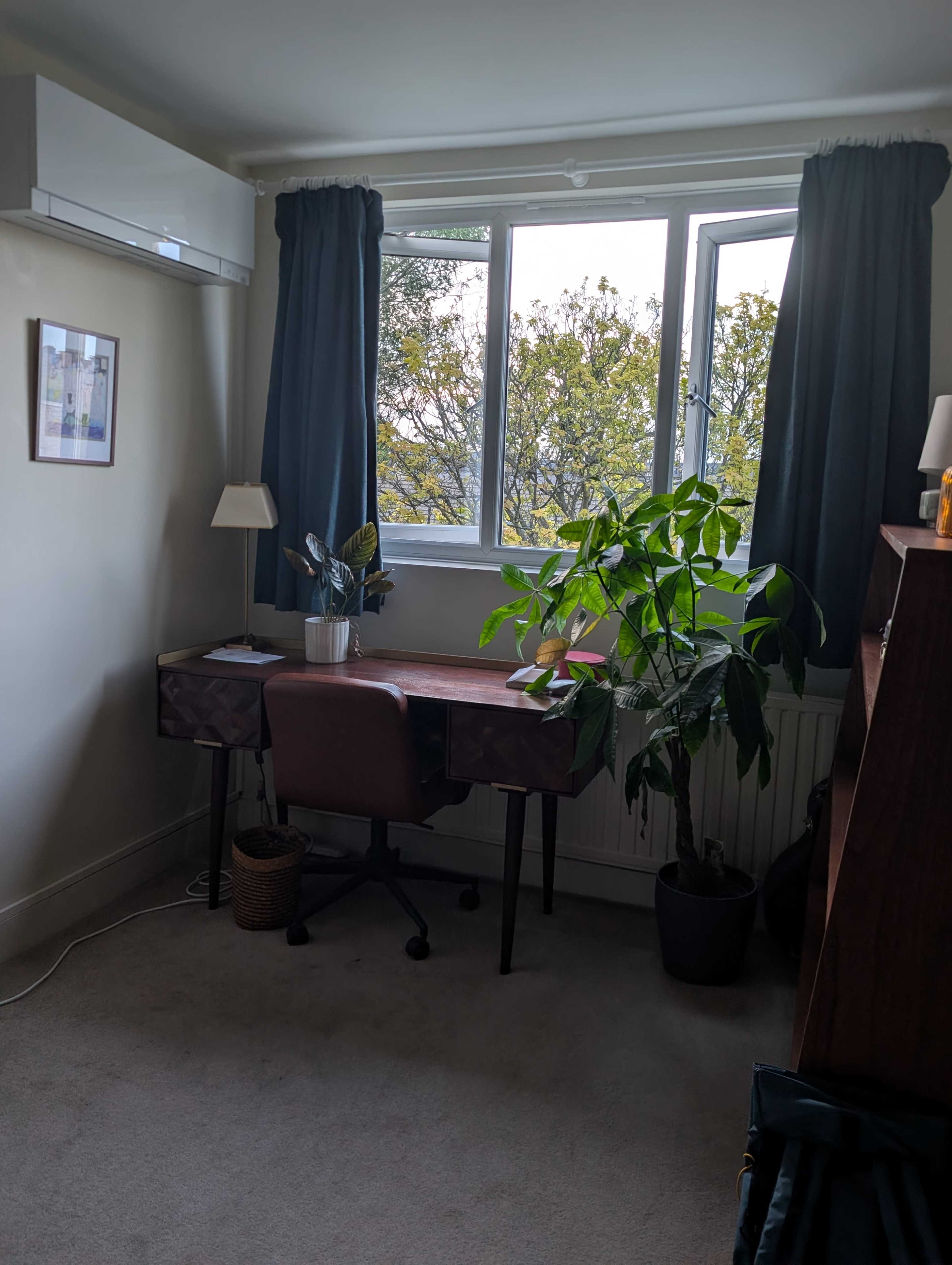The image shows a small home office with a desk, a chair, a lamp, and a large indoor plant near a window with curtains.