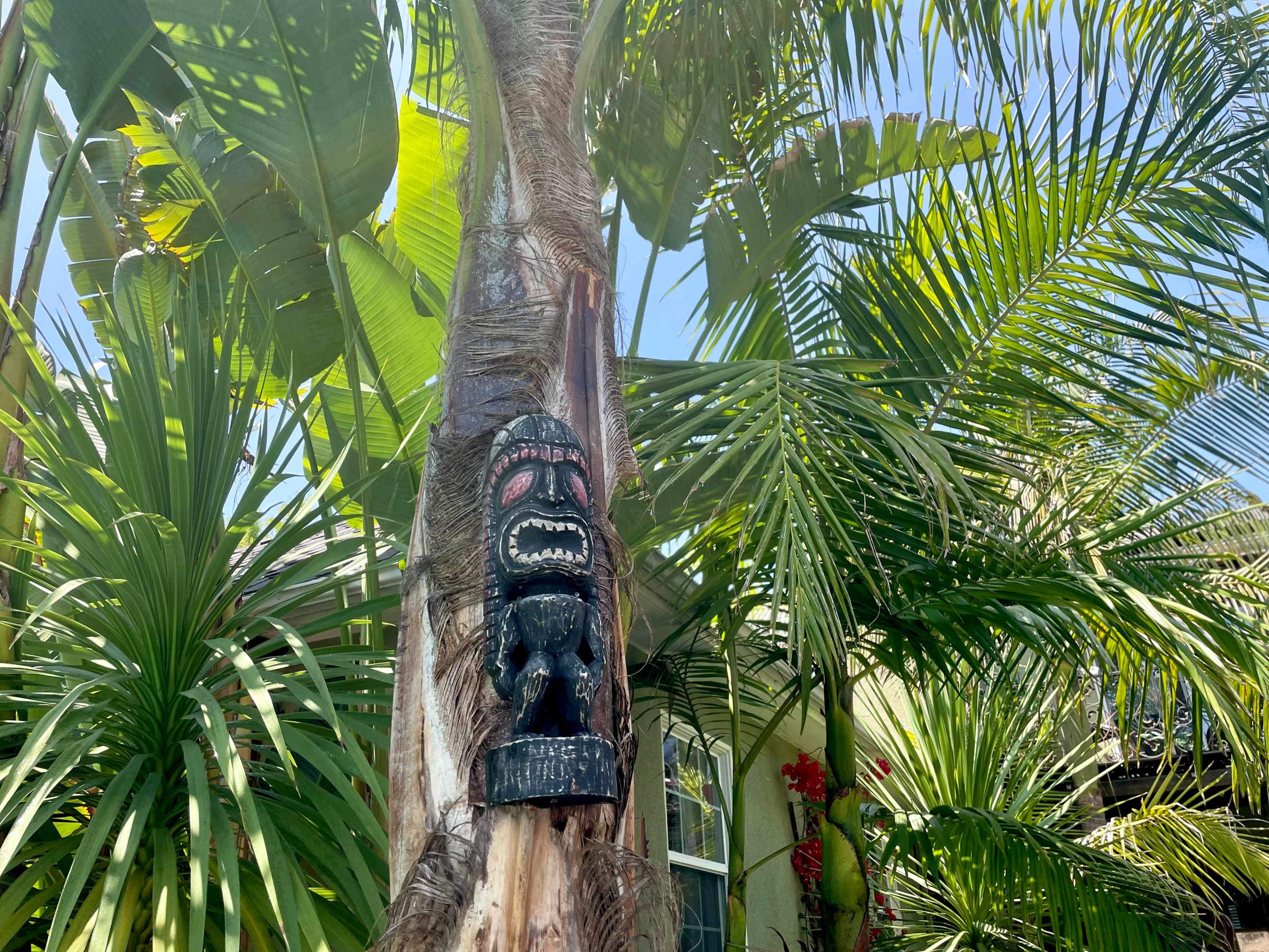 A carved wooden tiki statue is affixed to a palm tree, surrounded by lush tropical plants.