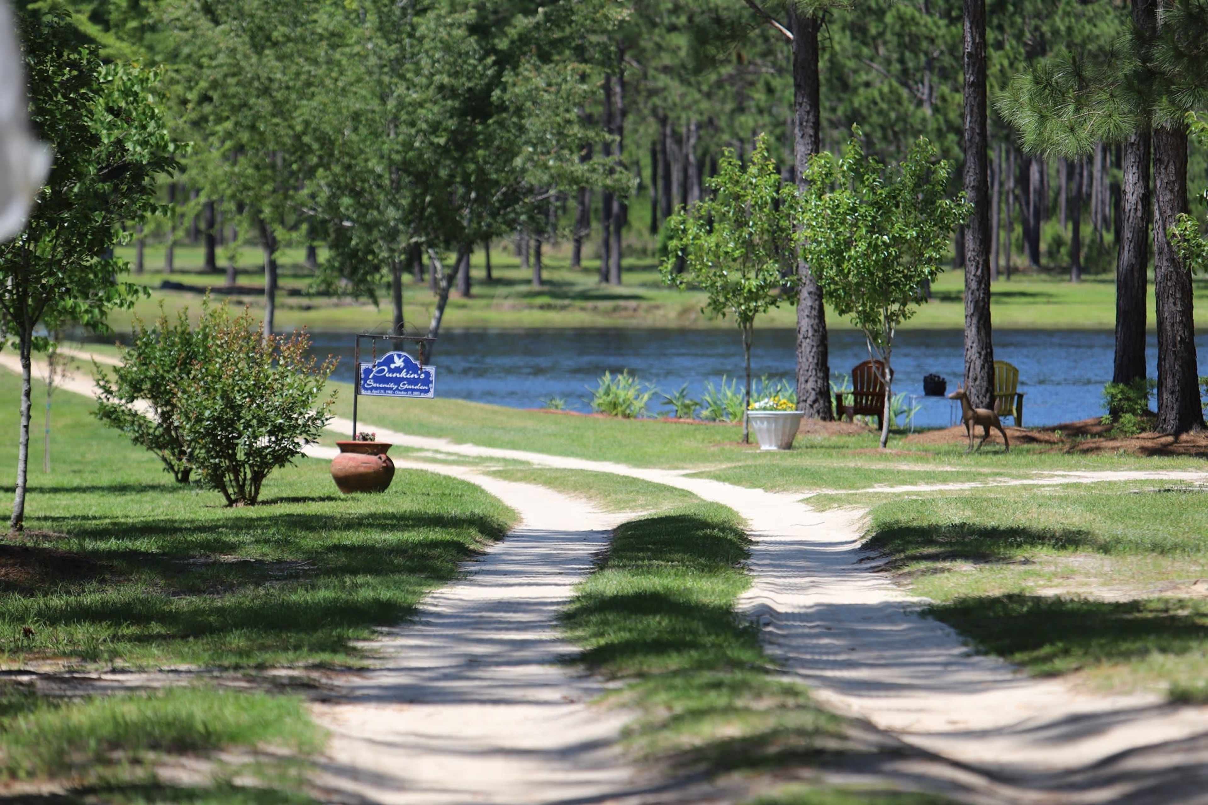 A sandy path leads toward a lake with trees on both sides, and a sign stands on the left side of the path.