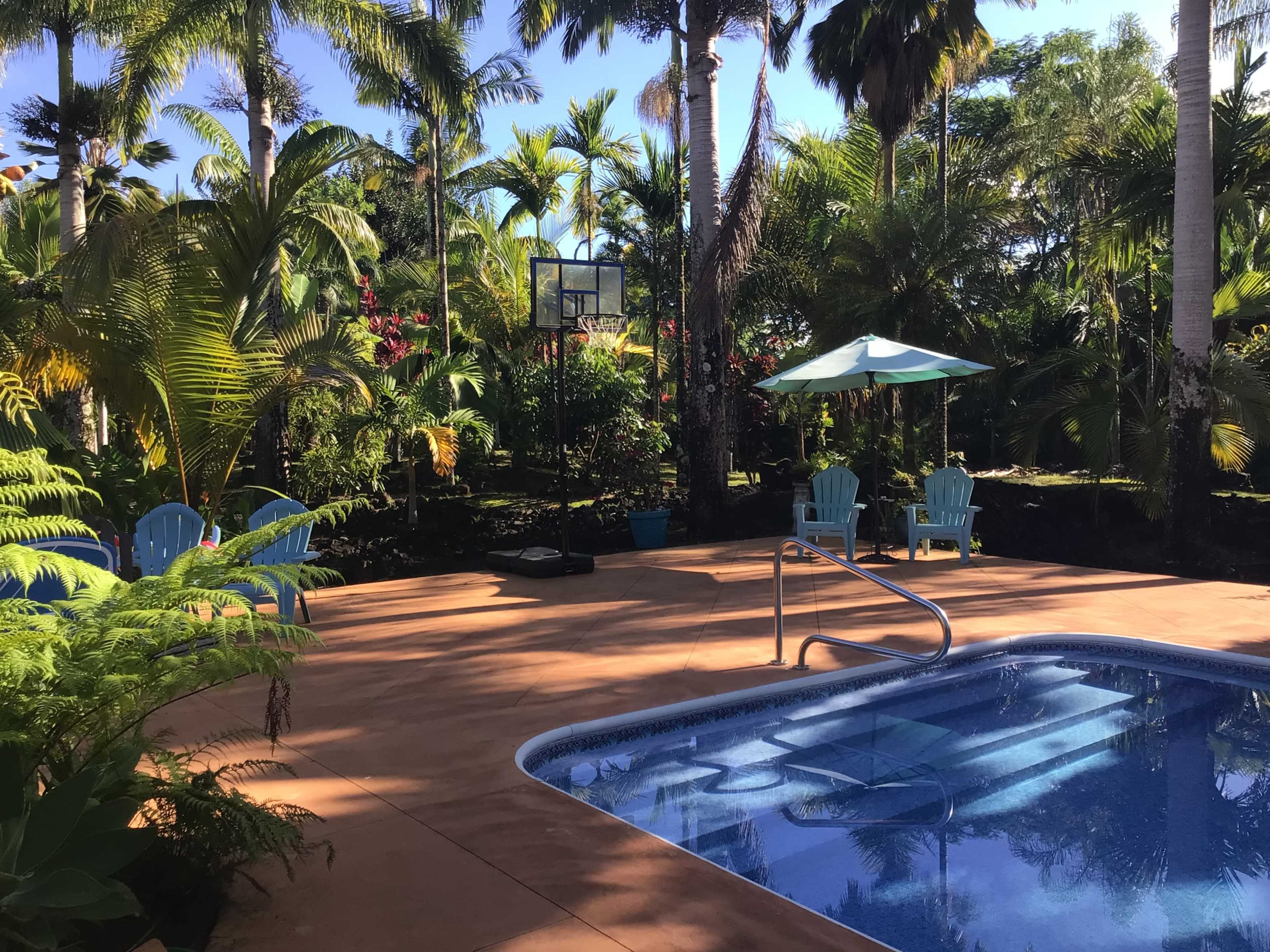 A clear swimming pool is surrounded by lush greenery, palm trees, and a basketball hoop in a tropical backyard setting.
