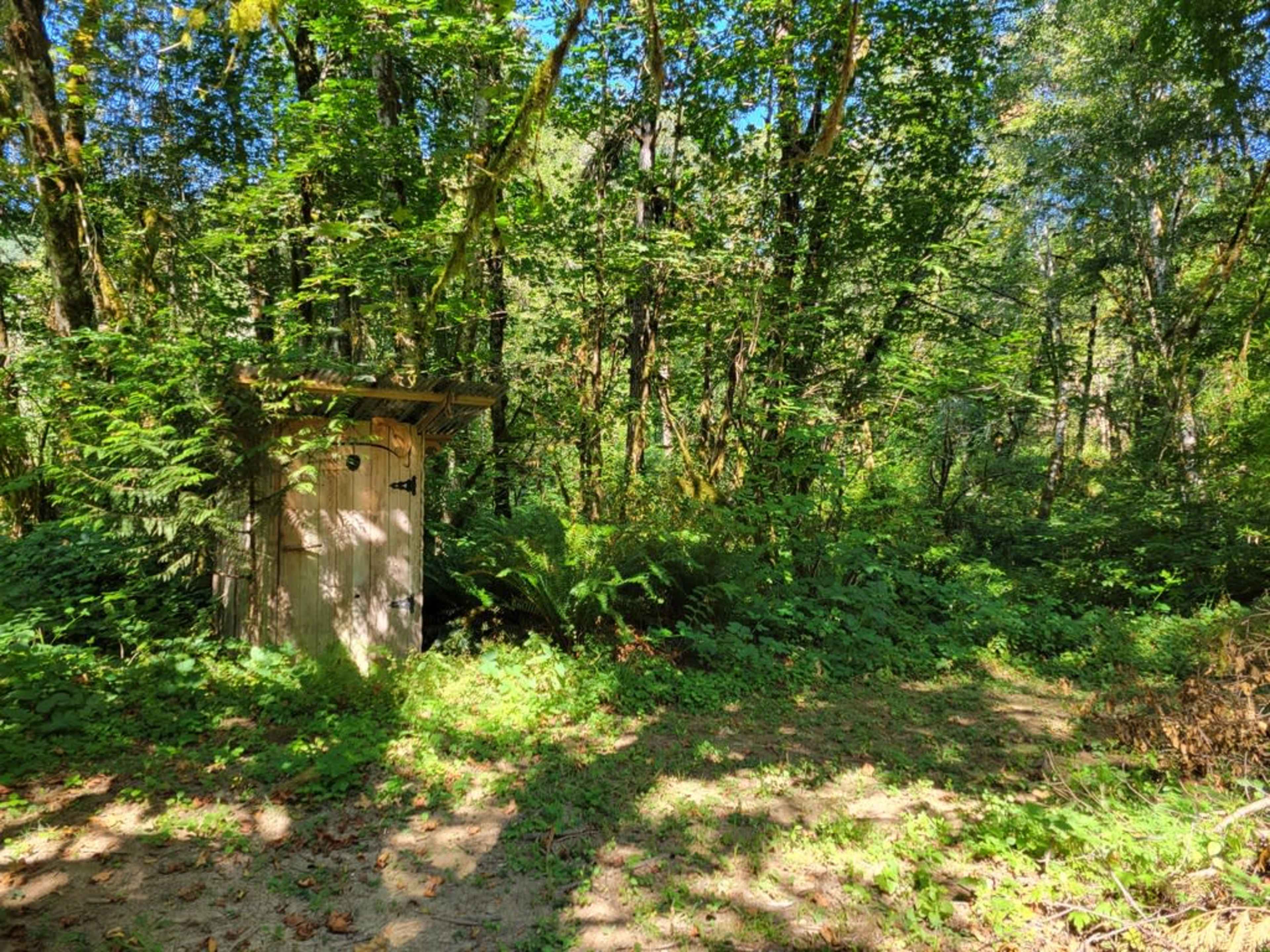 A wooden outhouse is situated amidst dense greenery in a forested area.