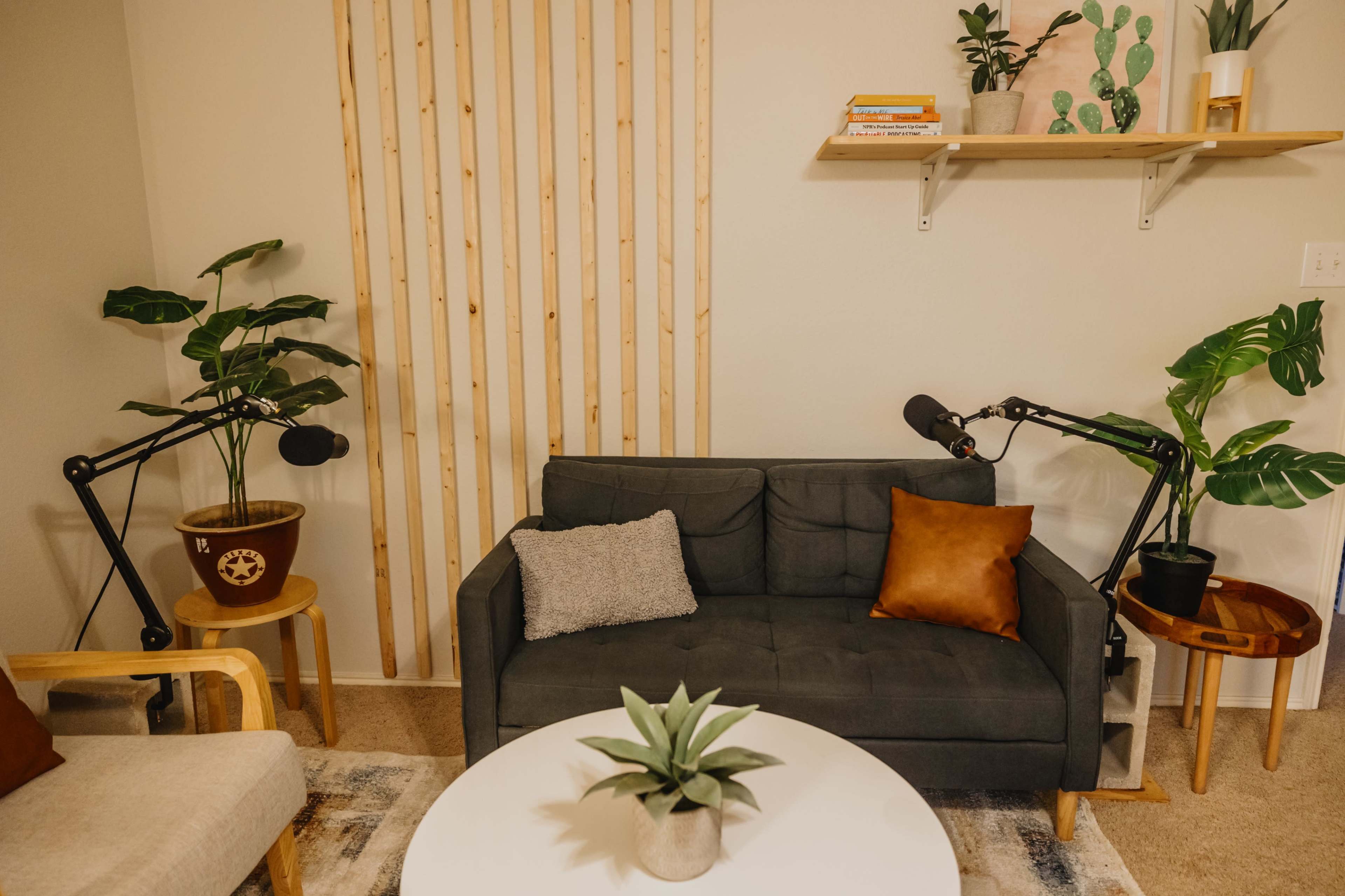 Fun Multipurpose Photo / Podcast Studio off Riverside in South Austin Image in Montopolis, Austin, TX