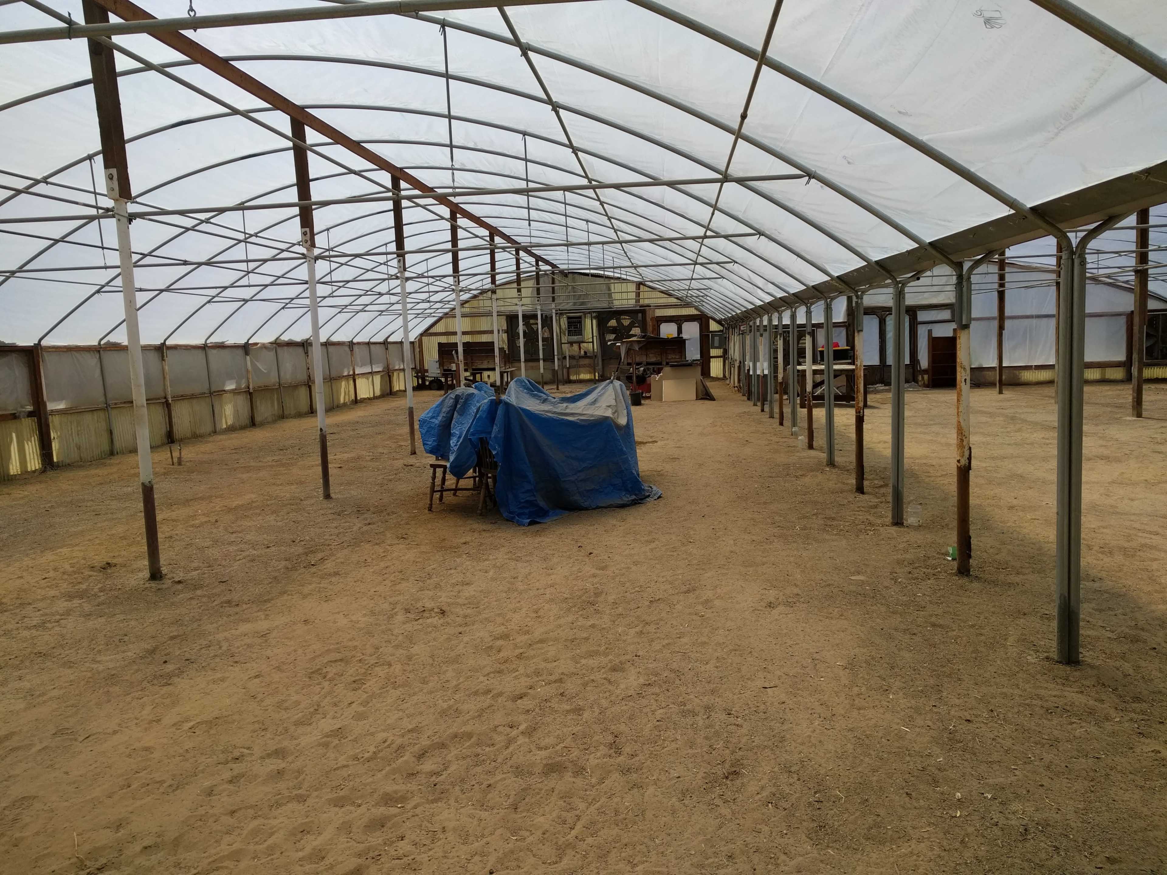 The image shows the interior of a large greenhouse with a sandy floor and several covered items in the center.