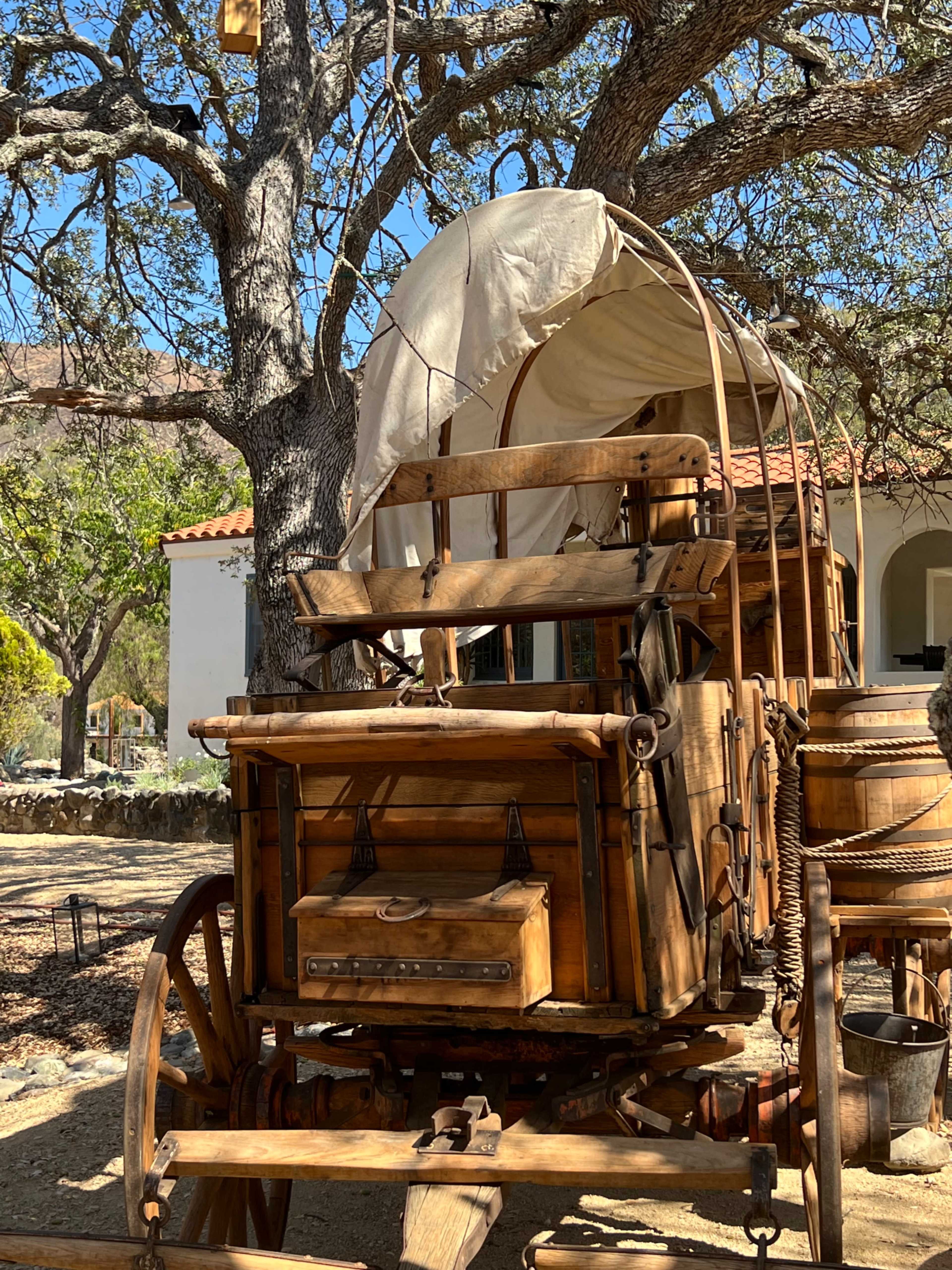 A wooden wagon with a canopy parked under a large tree in a rustic outdoor setting.