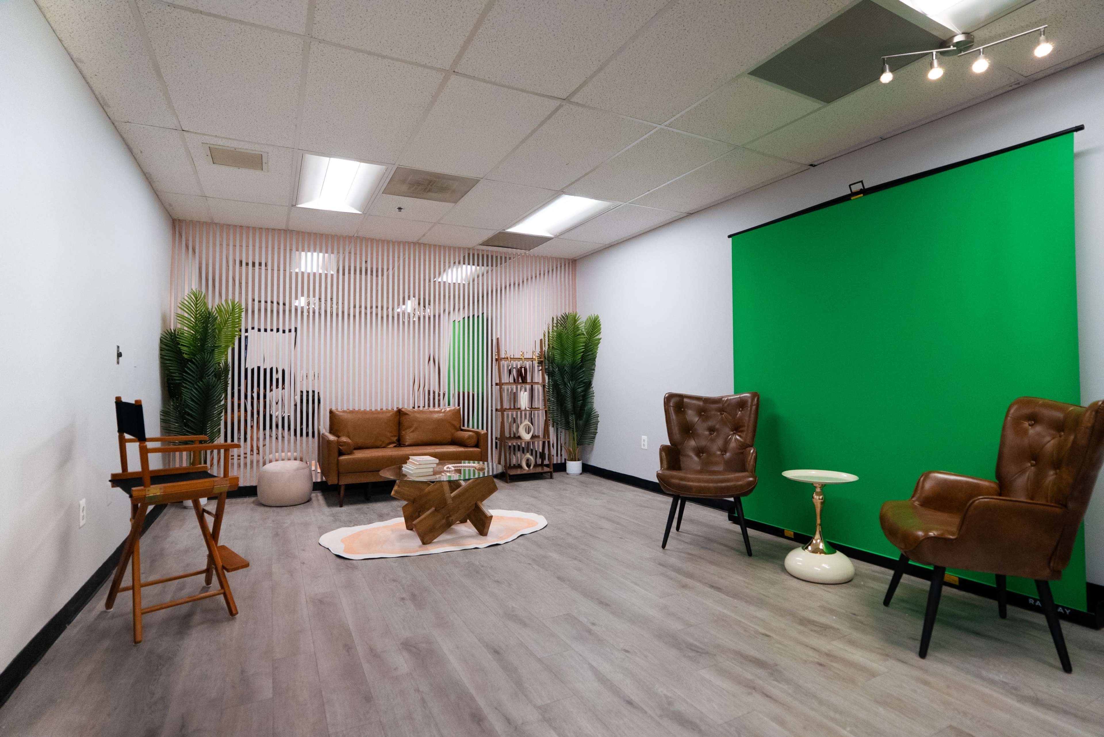 The image shows a studio space featuring a green backdrop, a brown sofa, two armchairs, a small coffee table, and decorative plants.