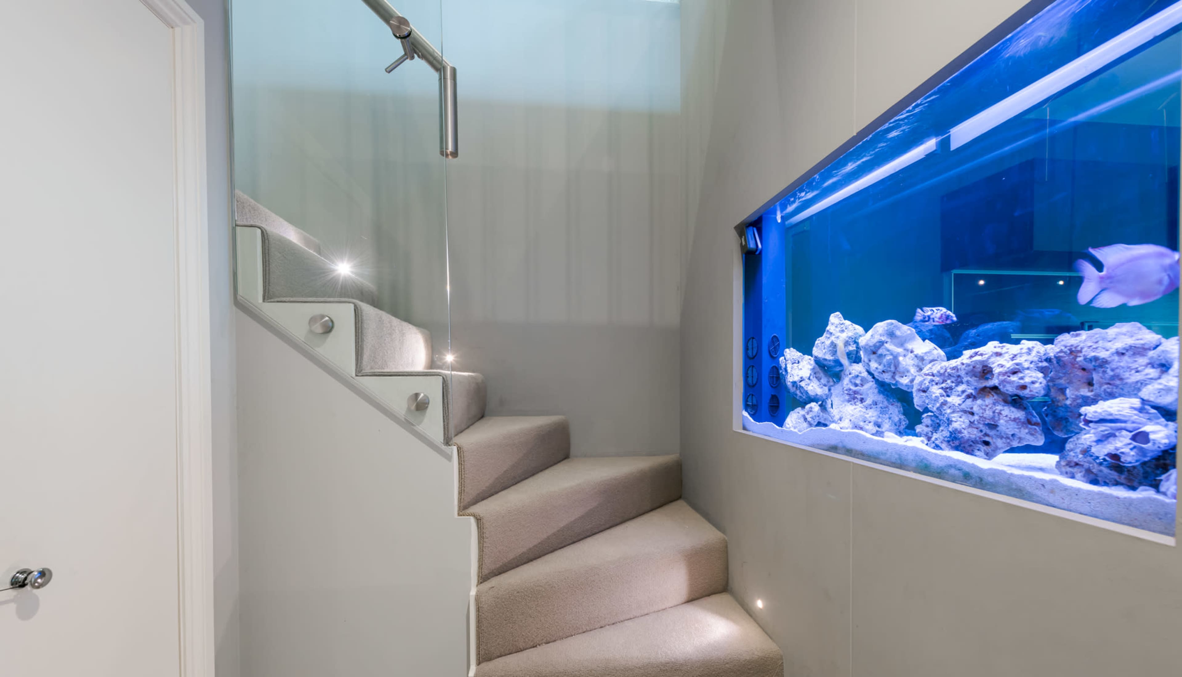 A spiral staircase leads up next to a large aquarium filled with rocks and fish.