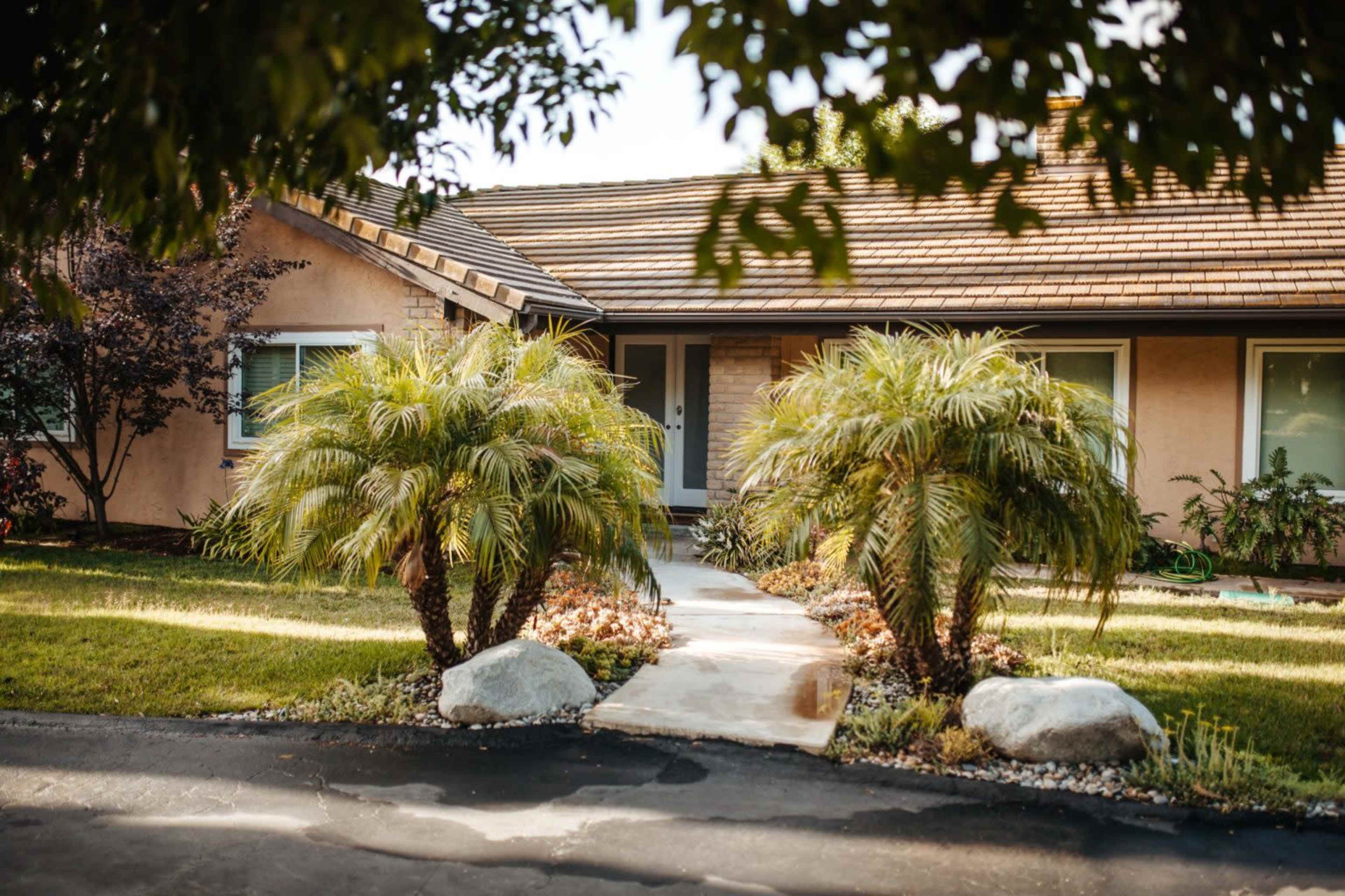 A walkway leads to the front door of a house, flanked by two palm trees and bordered by flower beds.