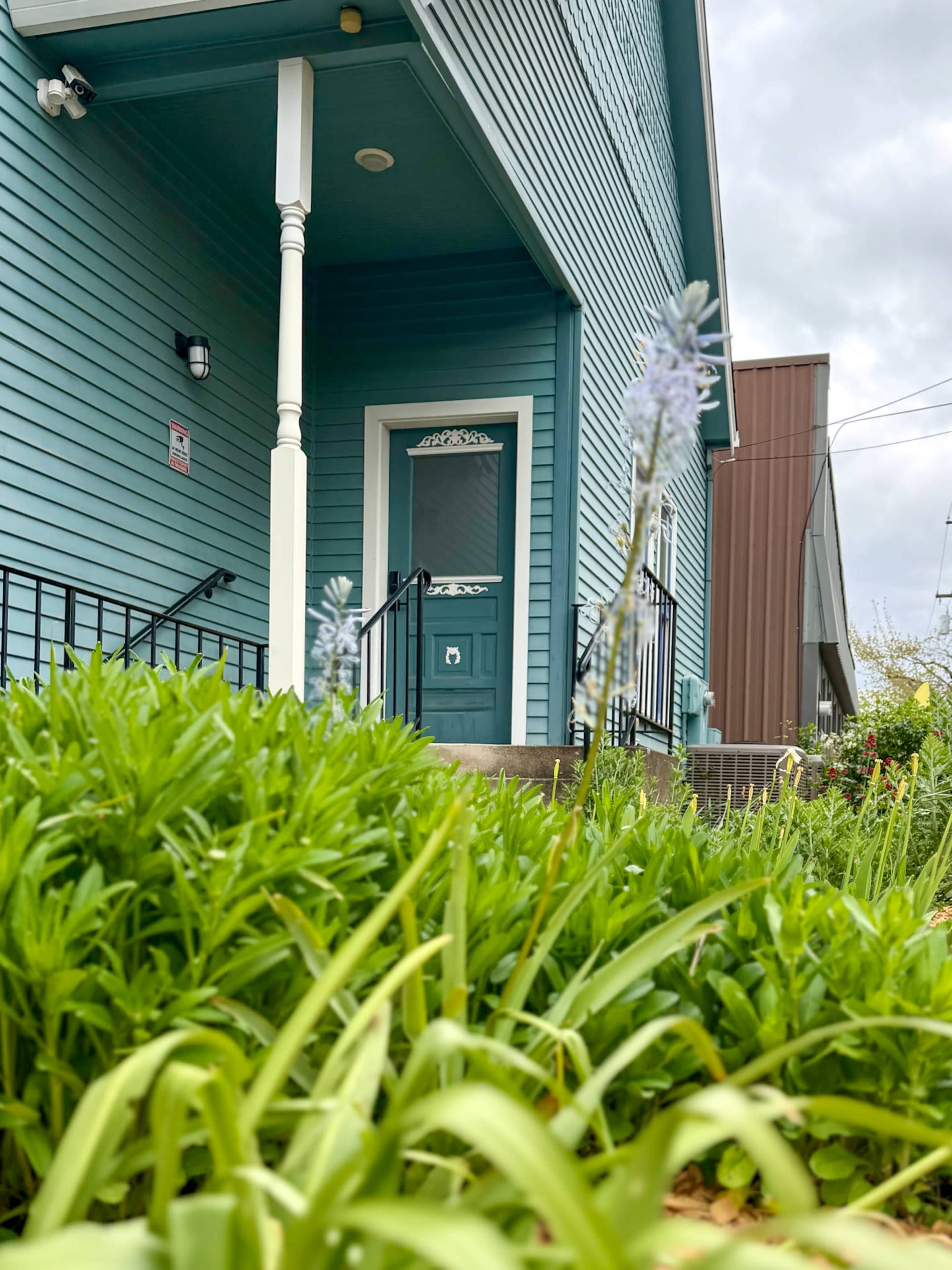 A blue house with a front door and porch steps is visible, surrounded by green grass and small flowers in the foreground.