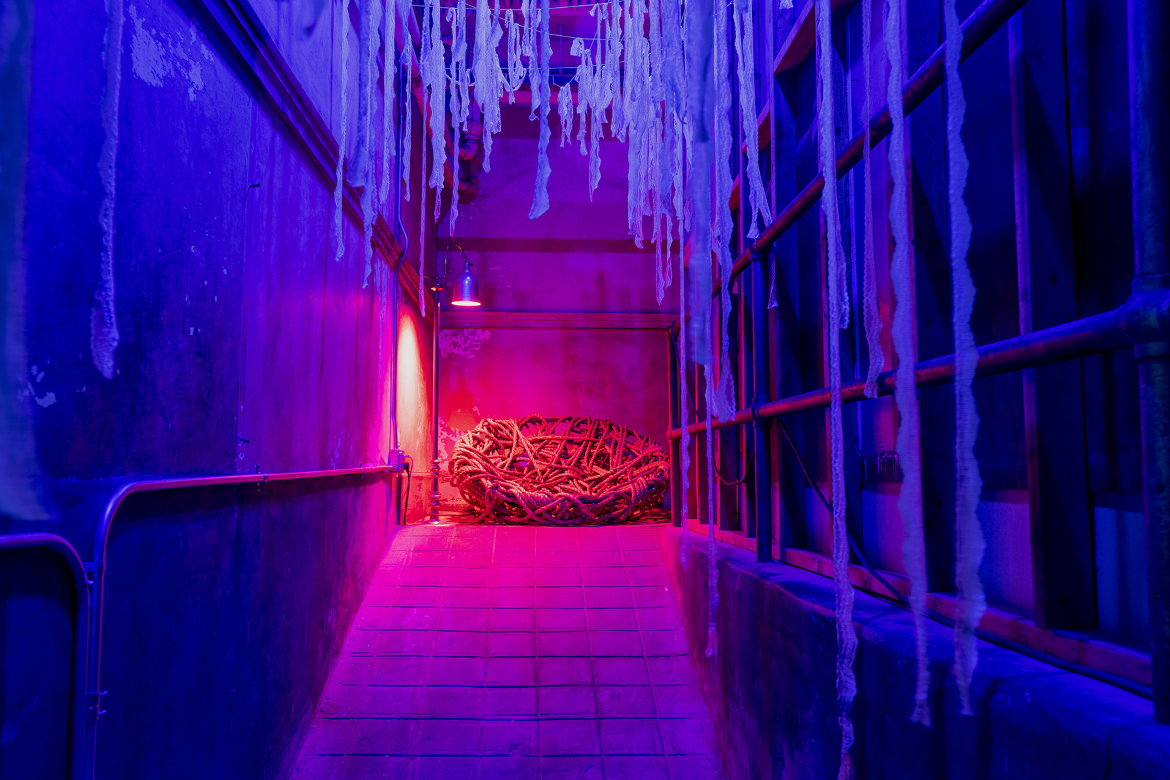 A dimly lit corridor features strands of white material hanging from the ceiling and a large tangle of sticks at the end, illuminated by purple and red lighting.