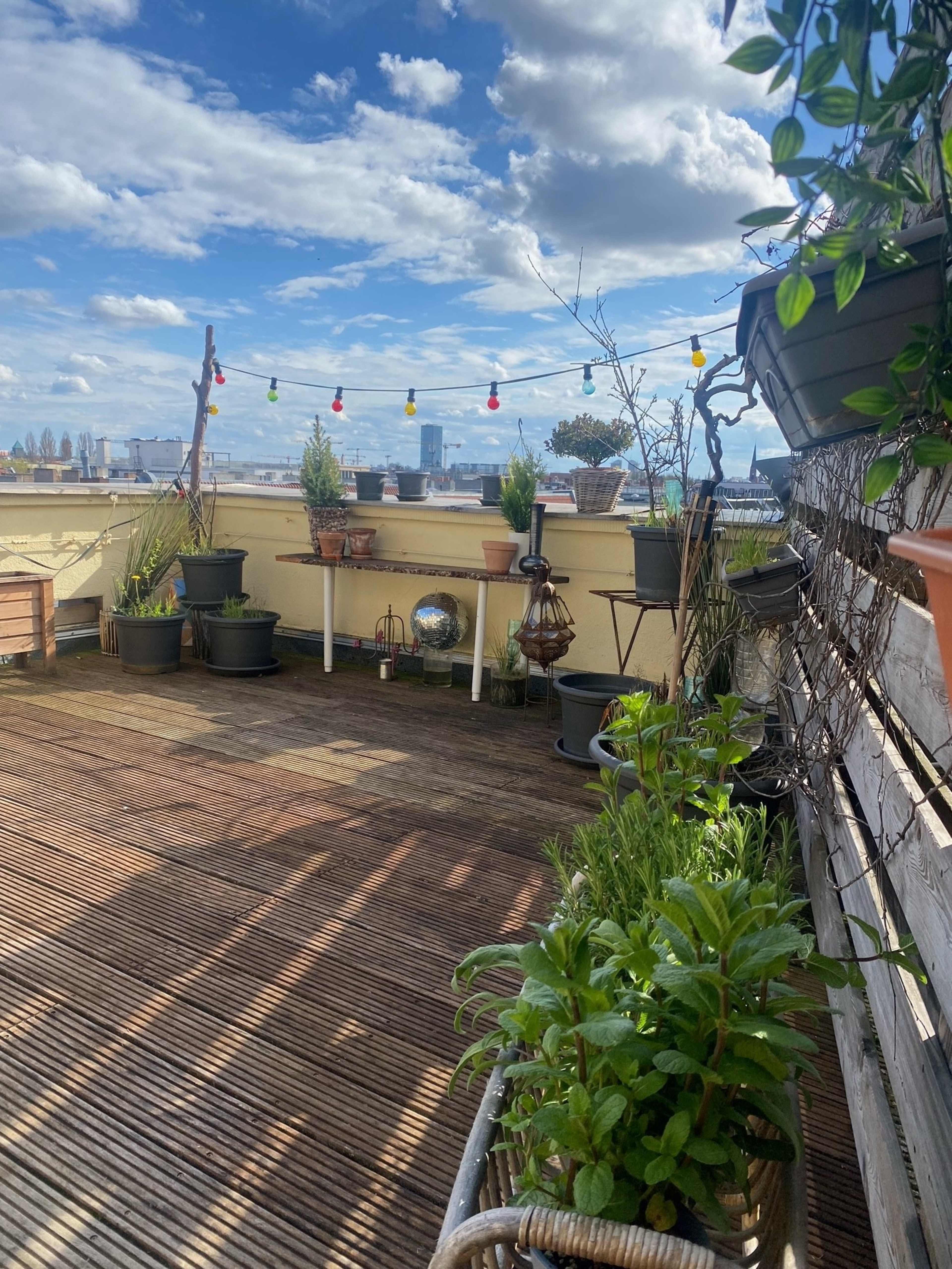 A rooftop garden features wooden decking, assorted potted plants, decorative lights, and a view of the city skyline under a cloudy sky.