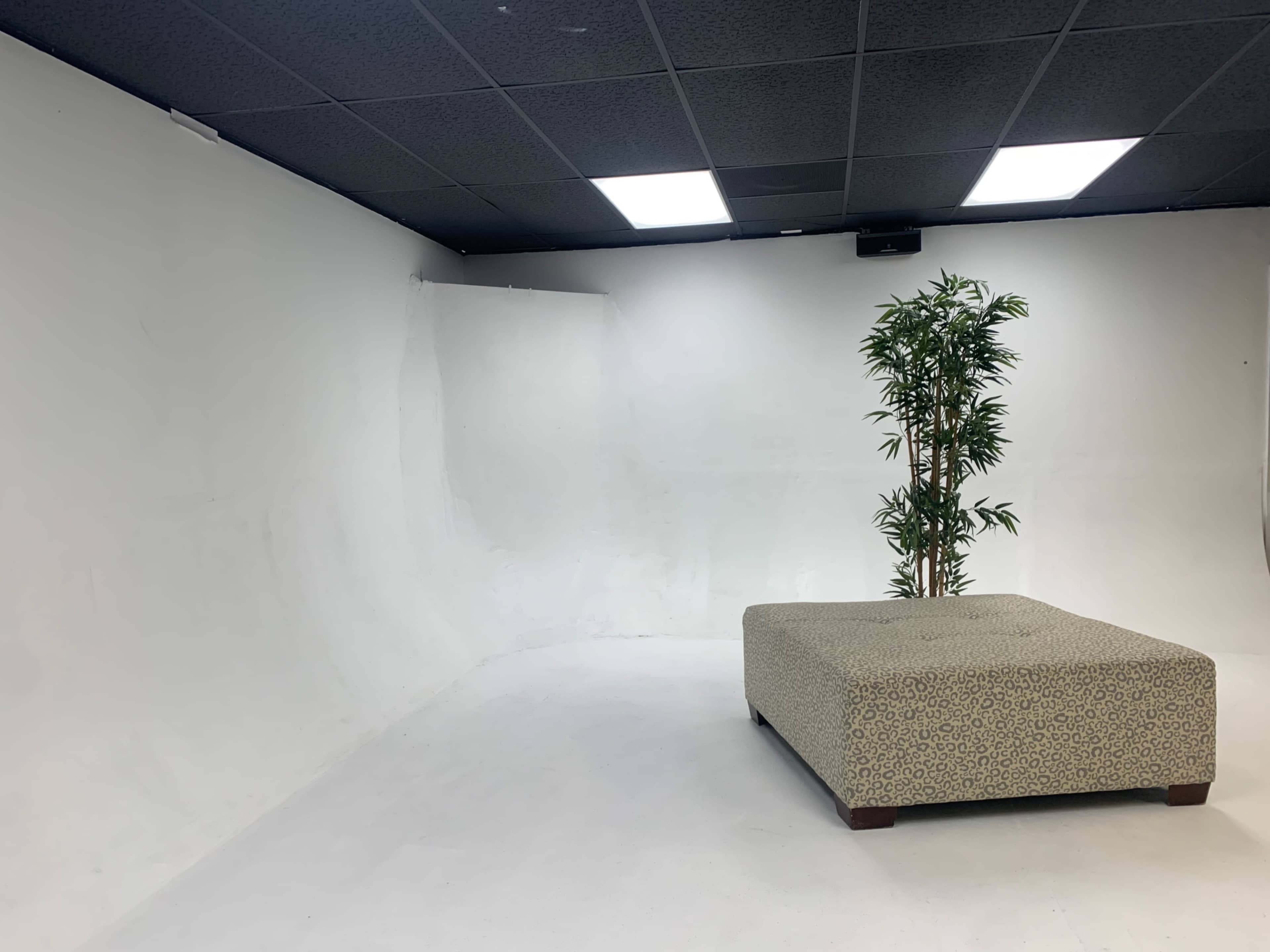 A minimalist studio space with a large, square ottoman and a potted plant against a blank white backdrop.