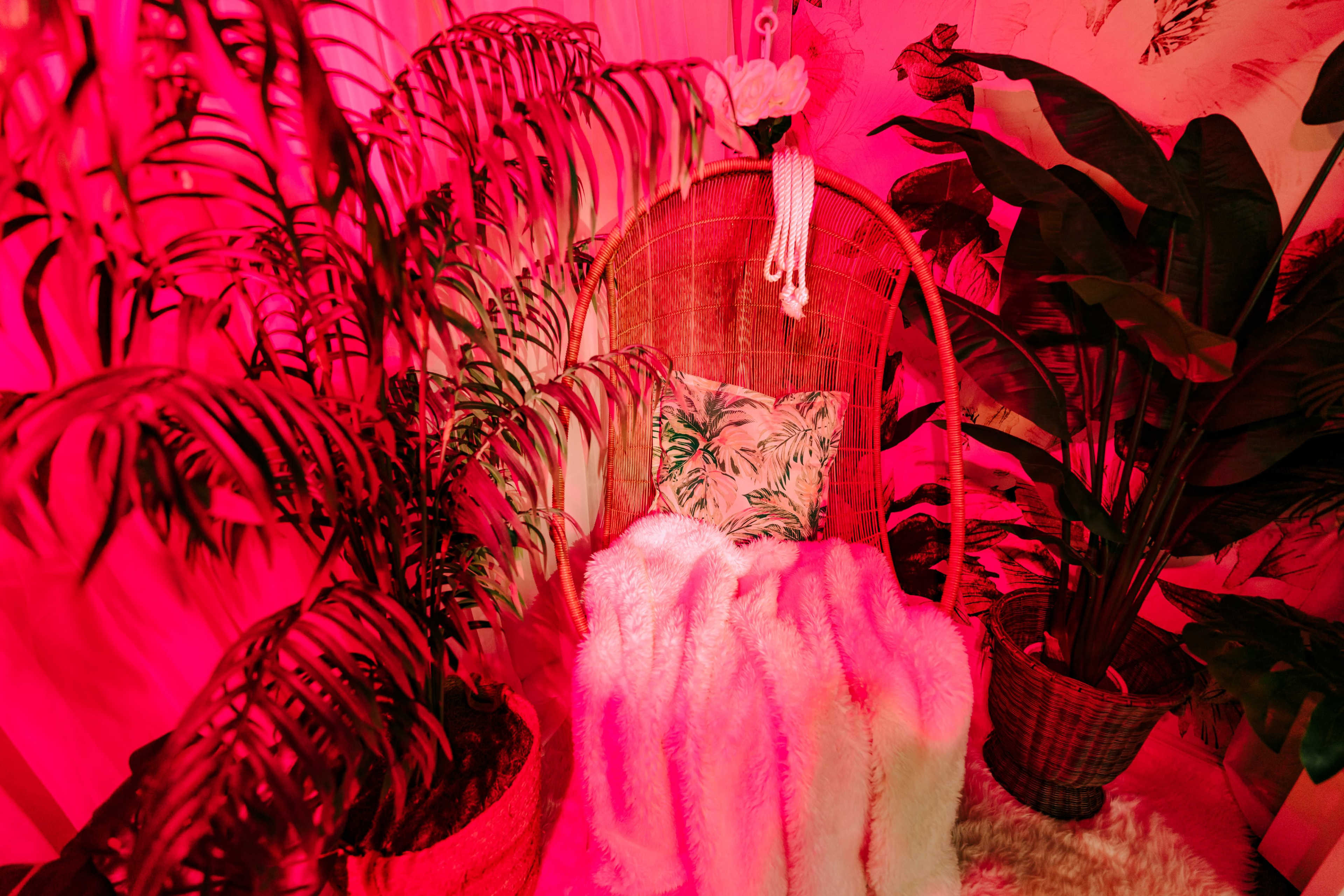 Swing Chair + Lush Foliage + Free Lights Image in Deerfield Village, Houston, TX