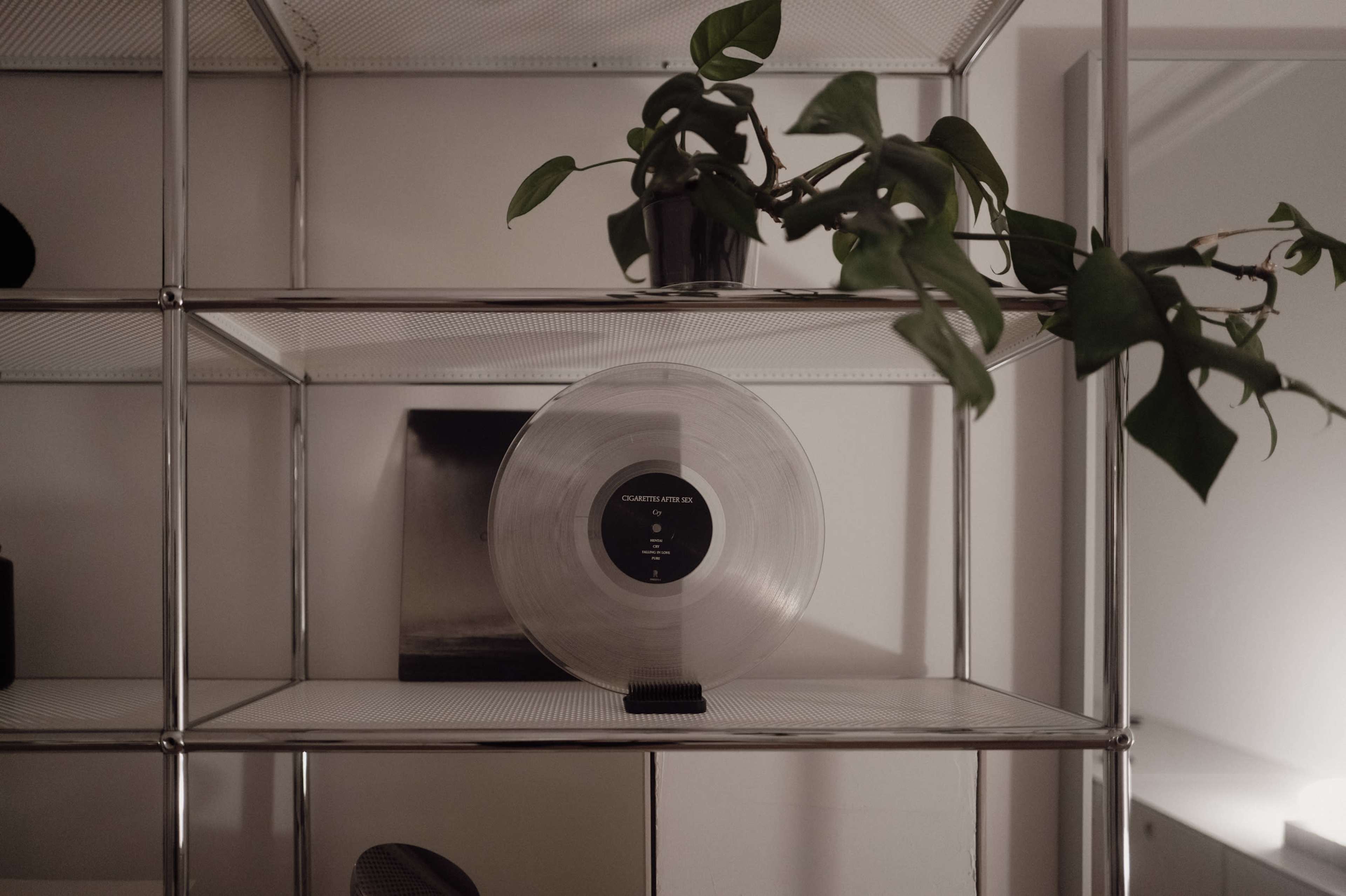 A clear vinyl record rests on a display shelf surrounded by a plant and a framed picture.