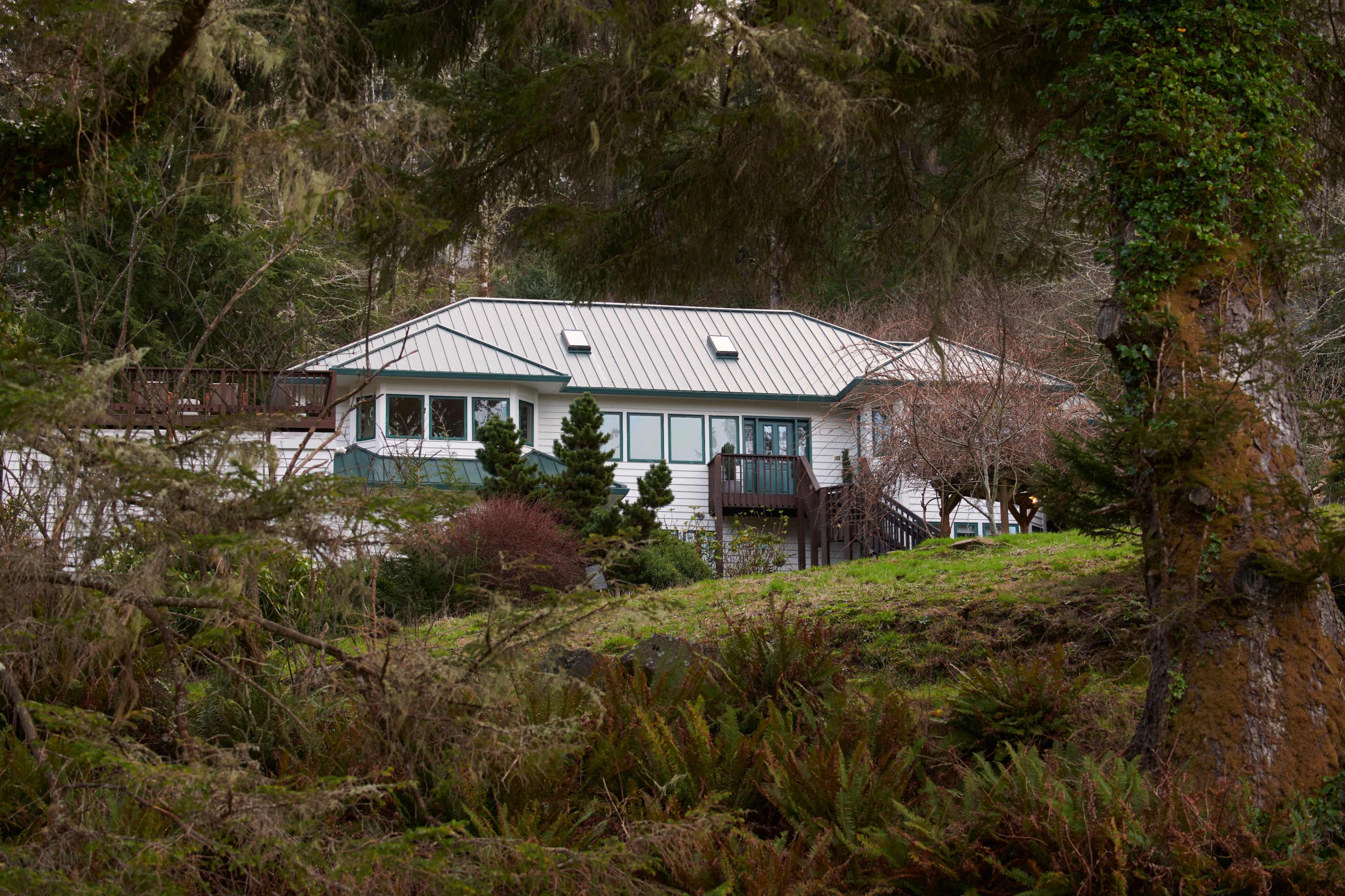 A house with large windows and a metal roof is nestled among trees and greenery.