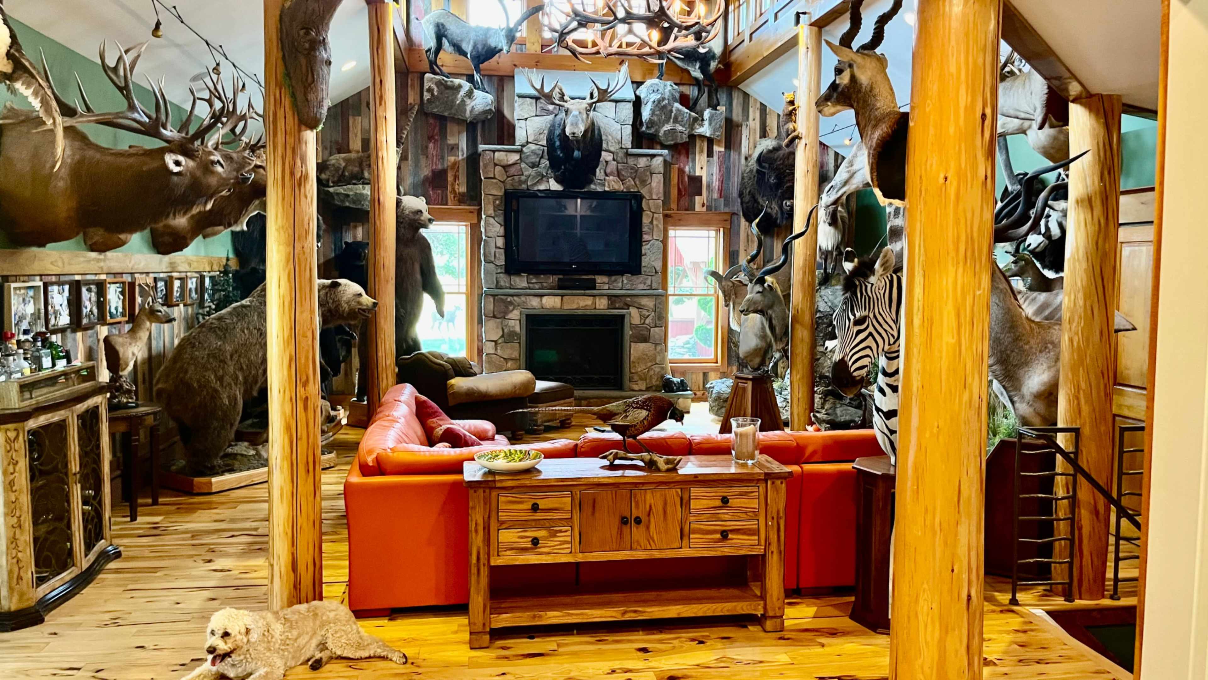 The interior of a lodge-style room features large mounted animal heads on the walls, a stone fireplace, a flat-screen TV, a wooden coffee table with snacks, and a sofa.