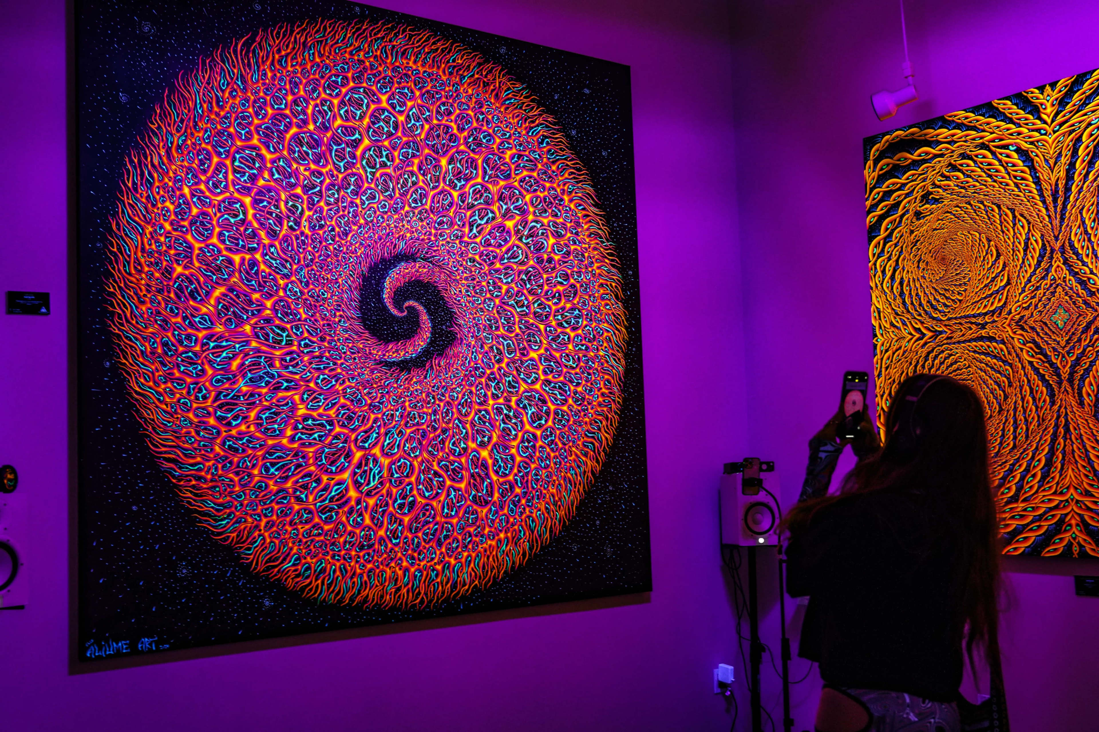 Immersive Luminescent Art Gallery by Visionary Artist Alex Aliume – Glow-in-the-Dark Event Space in Williamsburg Image in Williamsburg, Brooklyn, NY