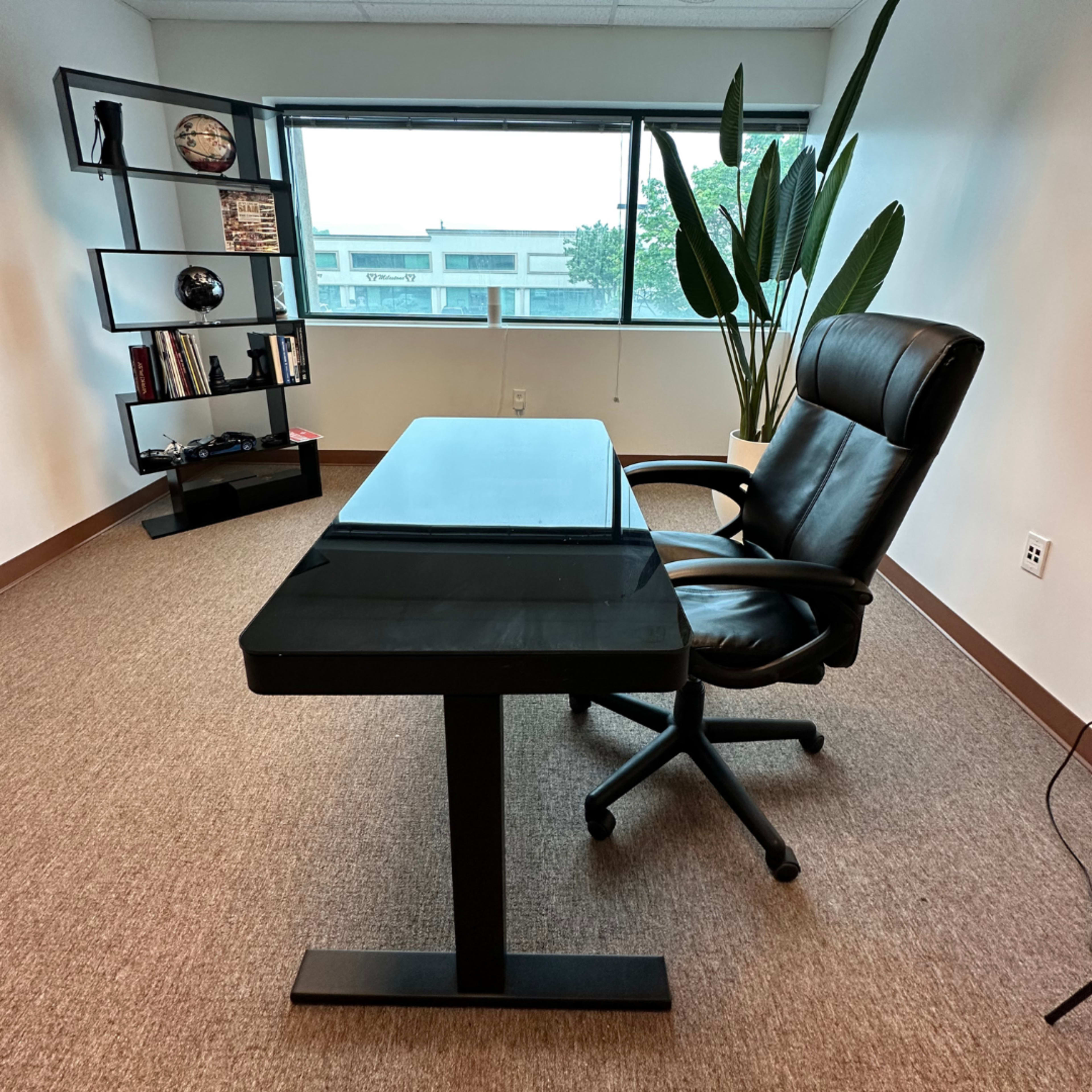 A minimalist office scene featuring a black desk, a rolling chair, and a shelf with books and decorative items, all set against a window overlooking greenery.
