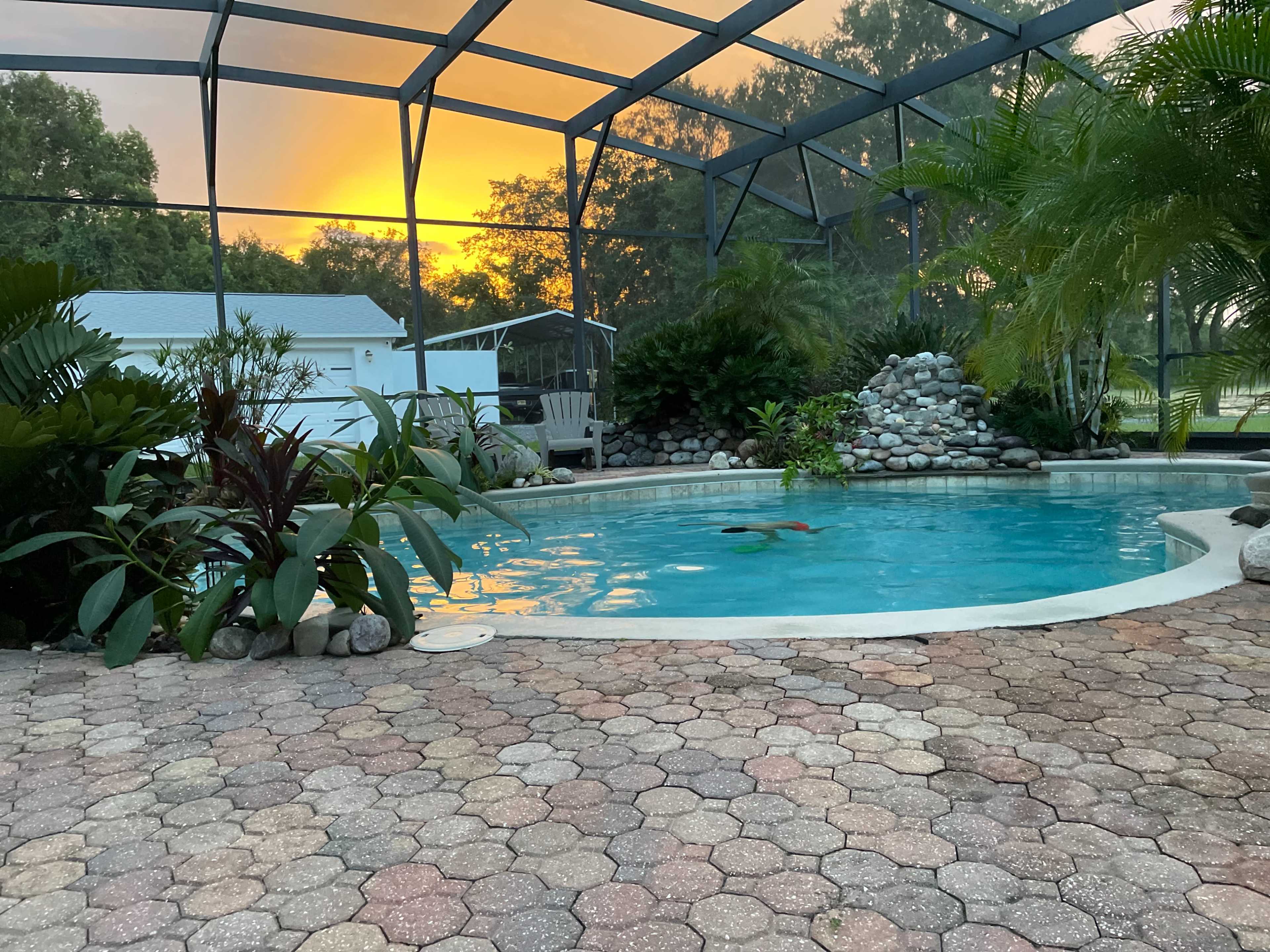 A swimming pool is surrounded by tropical plants and a stone feature, with a sunset visible through the screen enclosure.