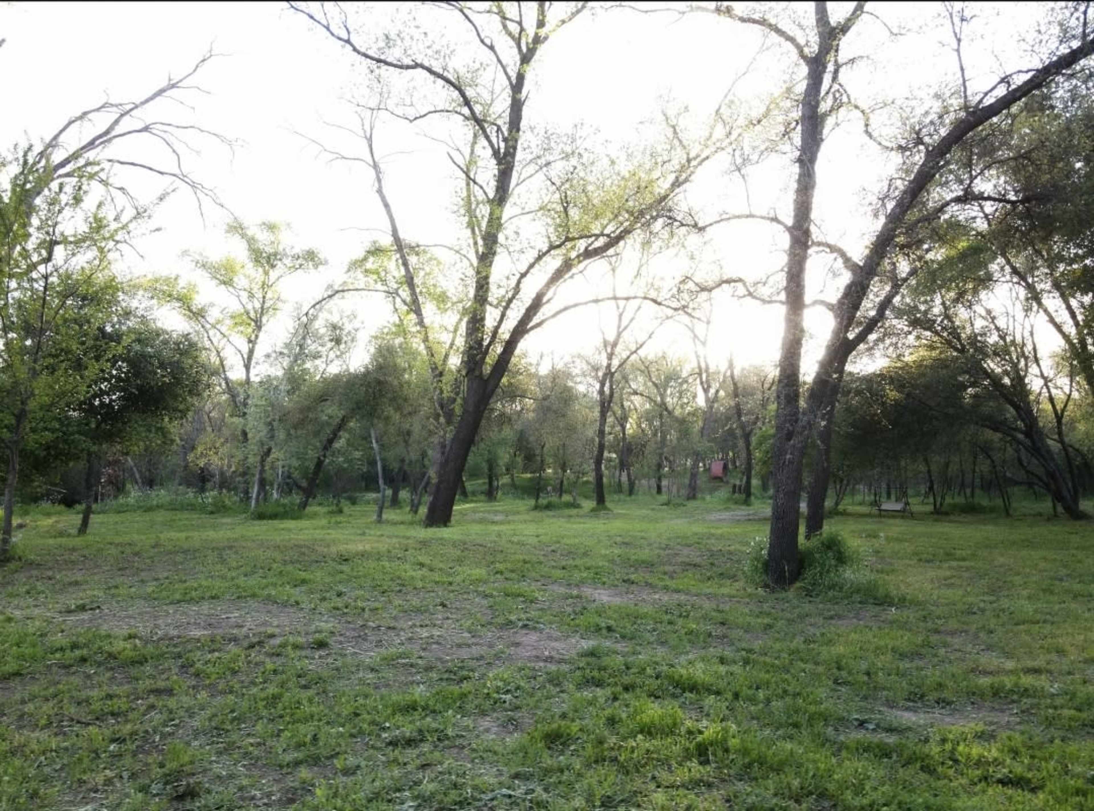 Private Park in the middle of the City Image in Citrus Heights, Citrus Heights, CA