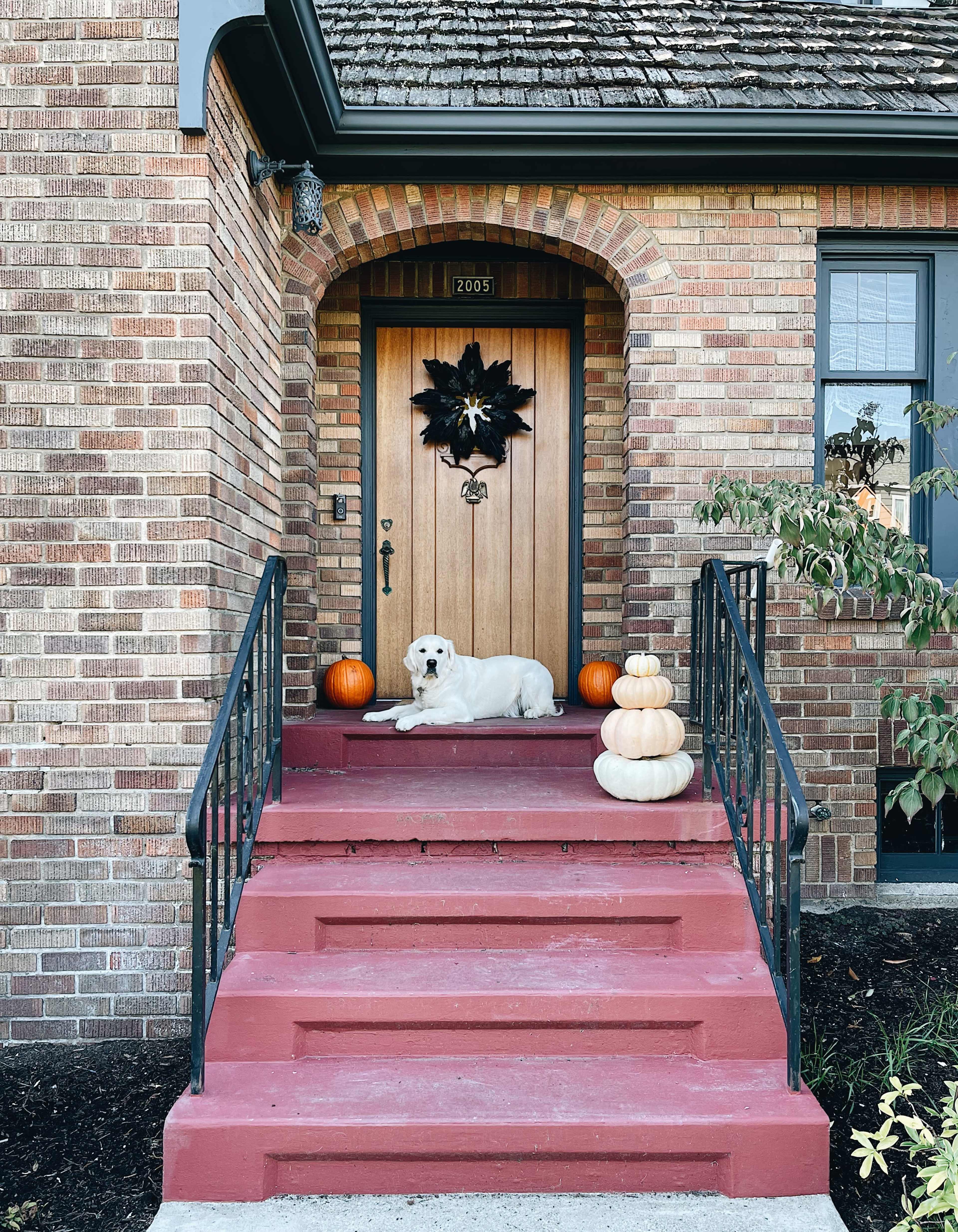 A white dog rests on the red steps of a brick house adorned with pumpkins and a seasonal wreath on the door.