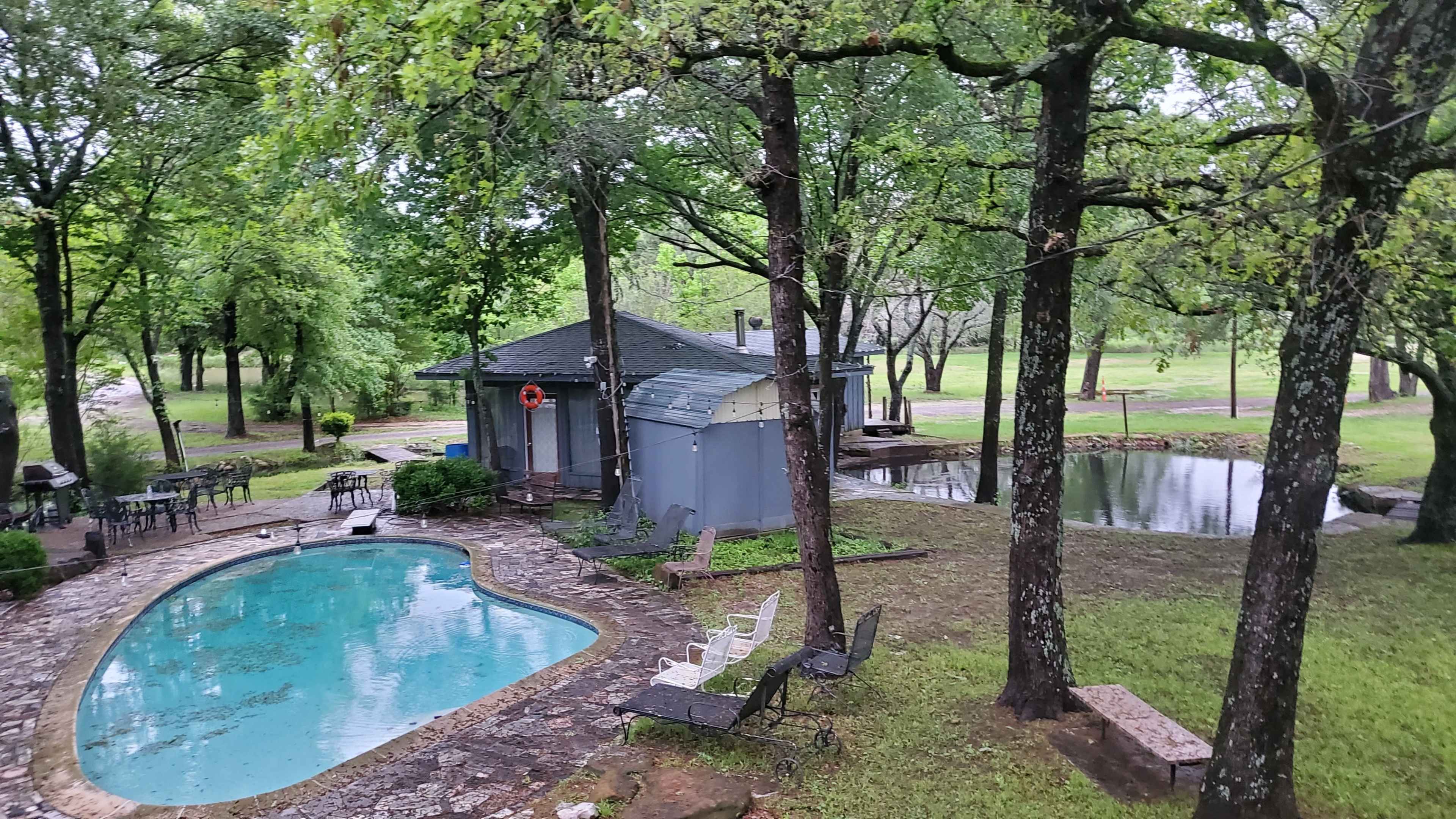 A backyard scene with a swimming pool, a small building, and a pond surrounded by grass and trees.