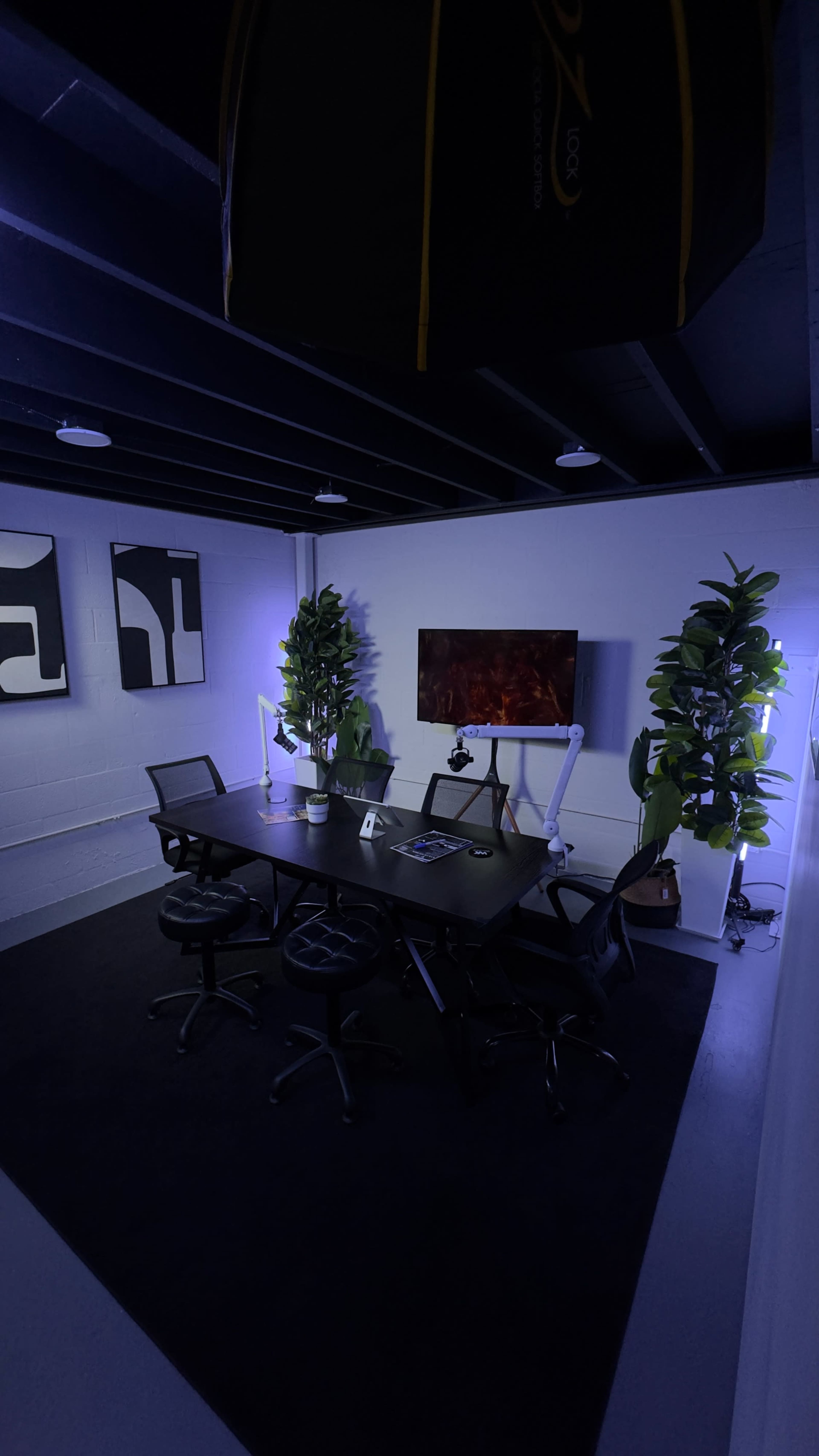 The image shows a modern conference room with a large table, black chairs, decorative plants, and a wall-mounted television.
