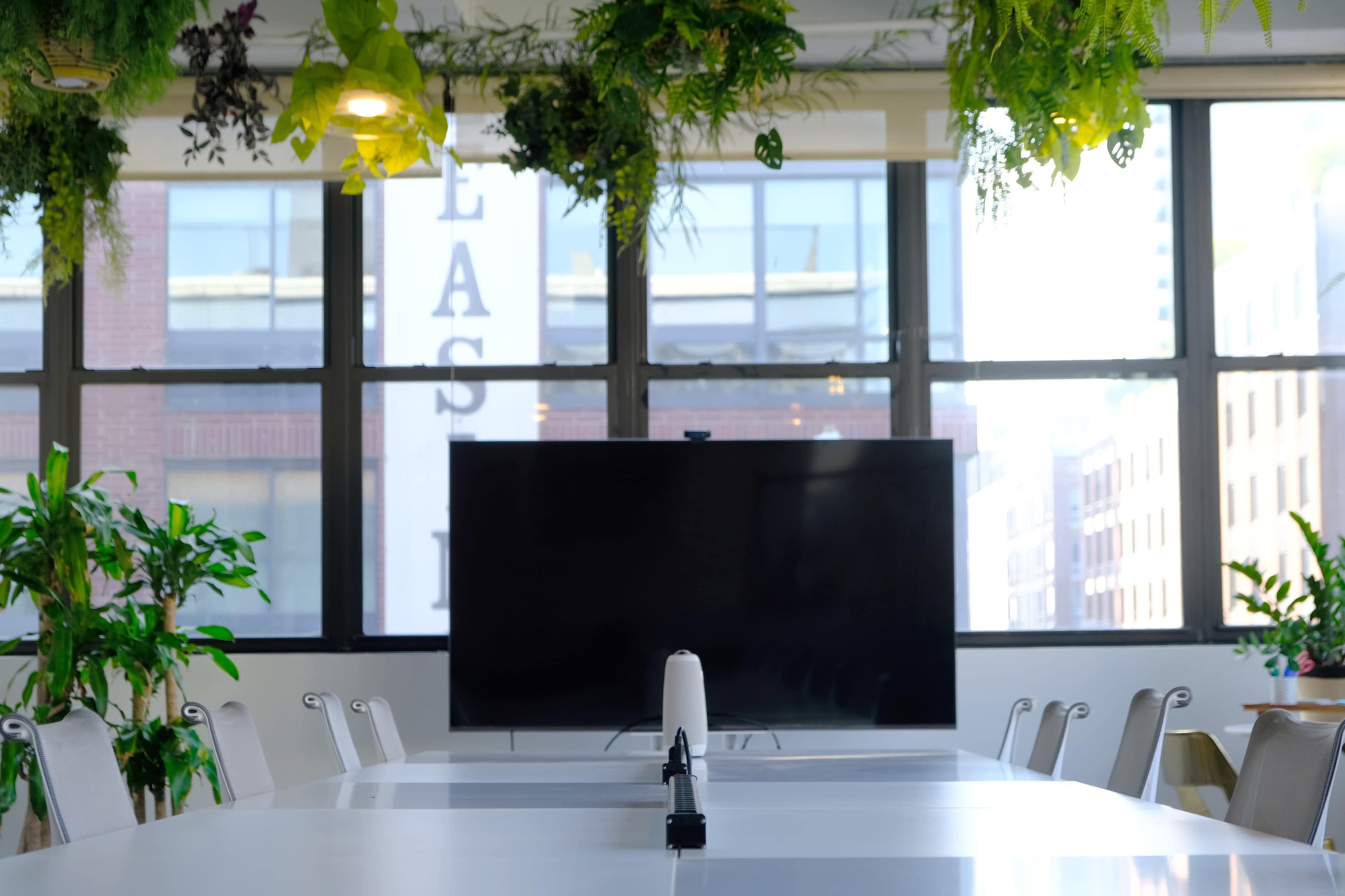 A modern conference room features a large screen at one end and greenery hanging from the ceiling, with a long table surrounded by chairs.
