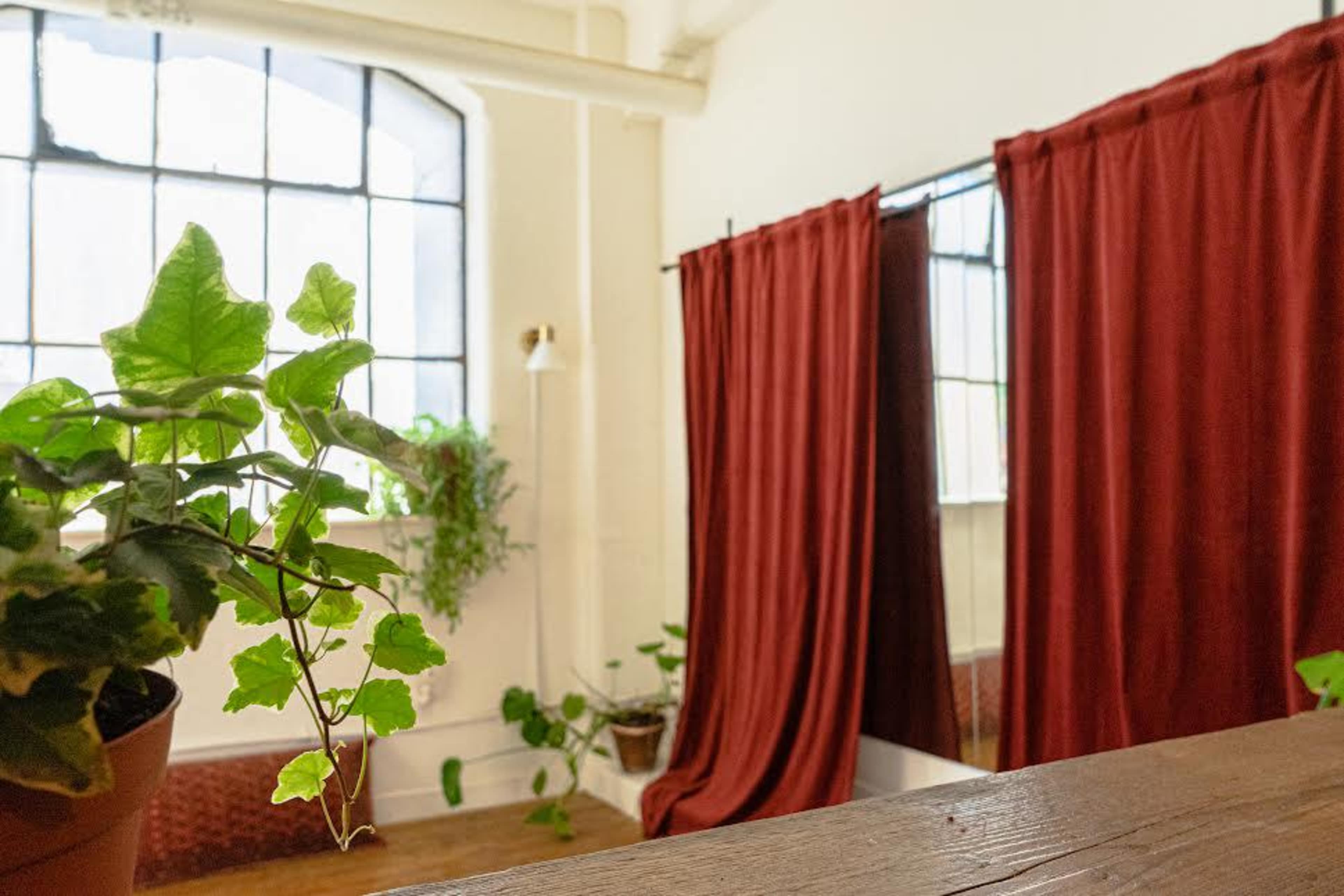 A bright indoor space features red curtains and potted plants near large windows.